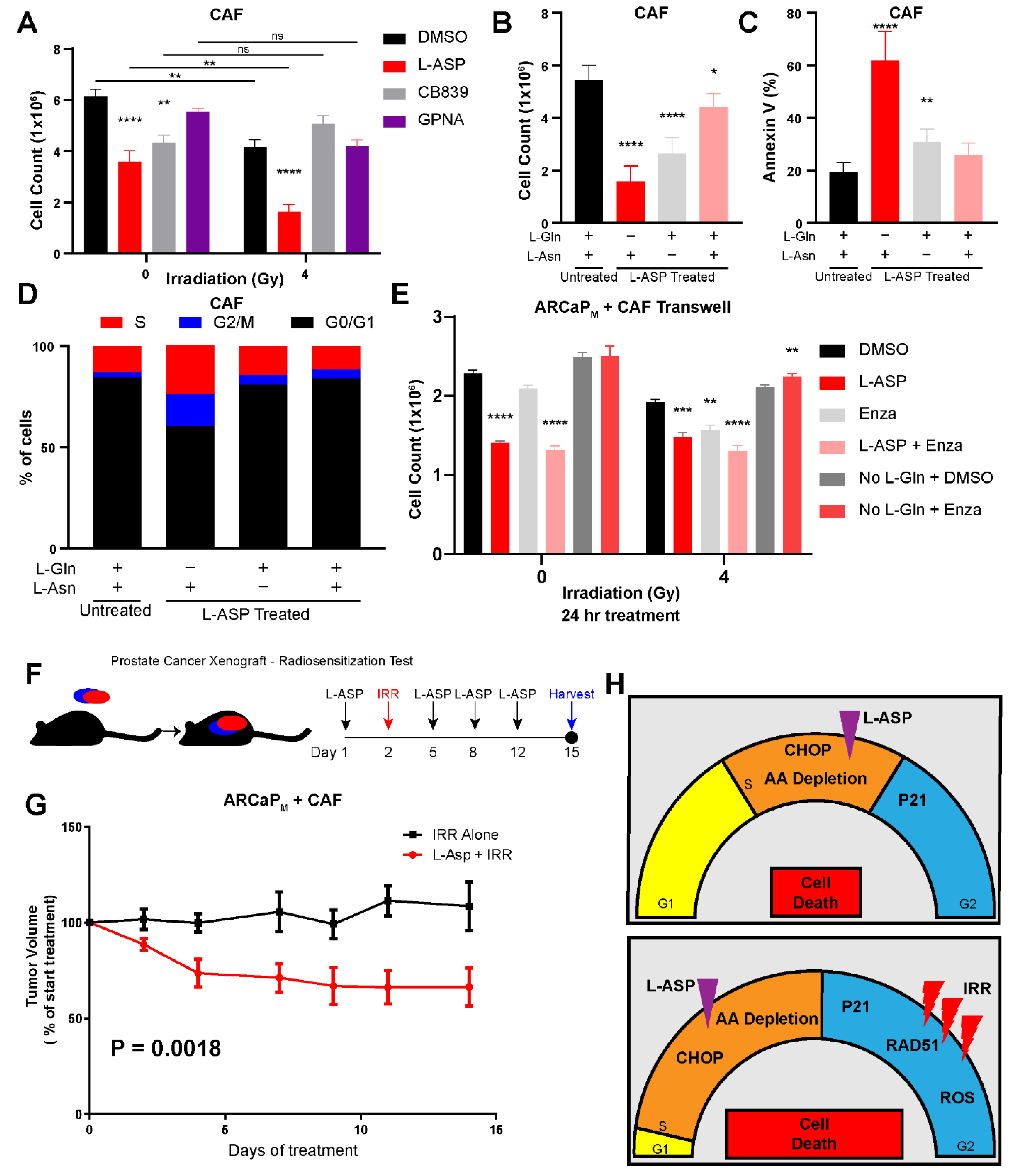 Cancers 14 02491 g006