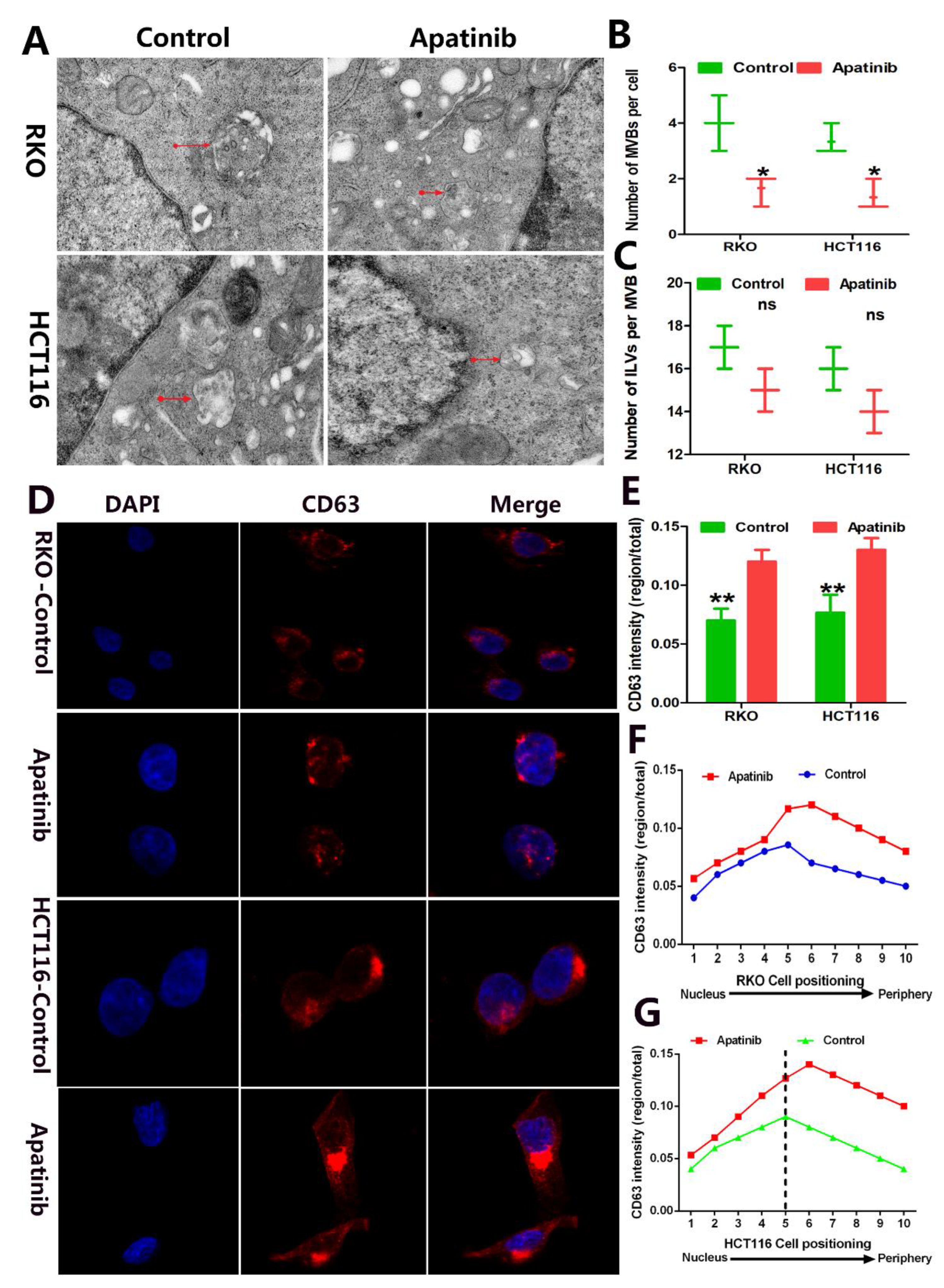 Cancers 14 02492 g005