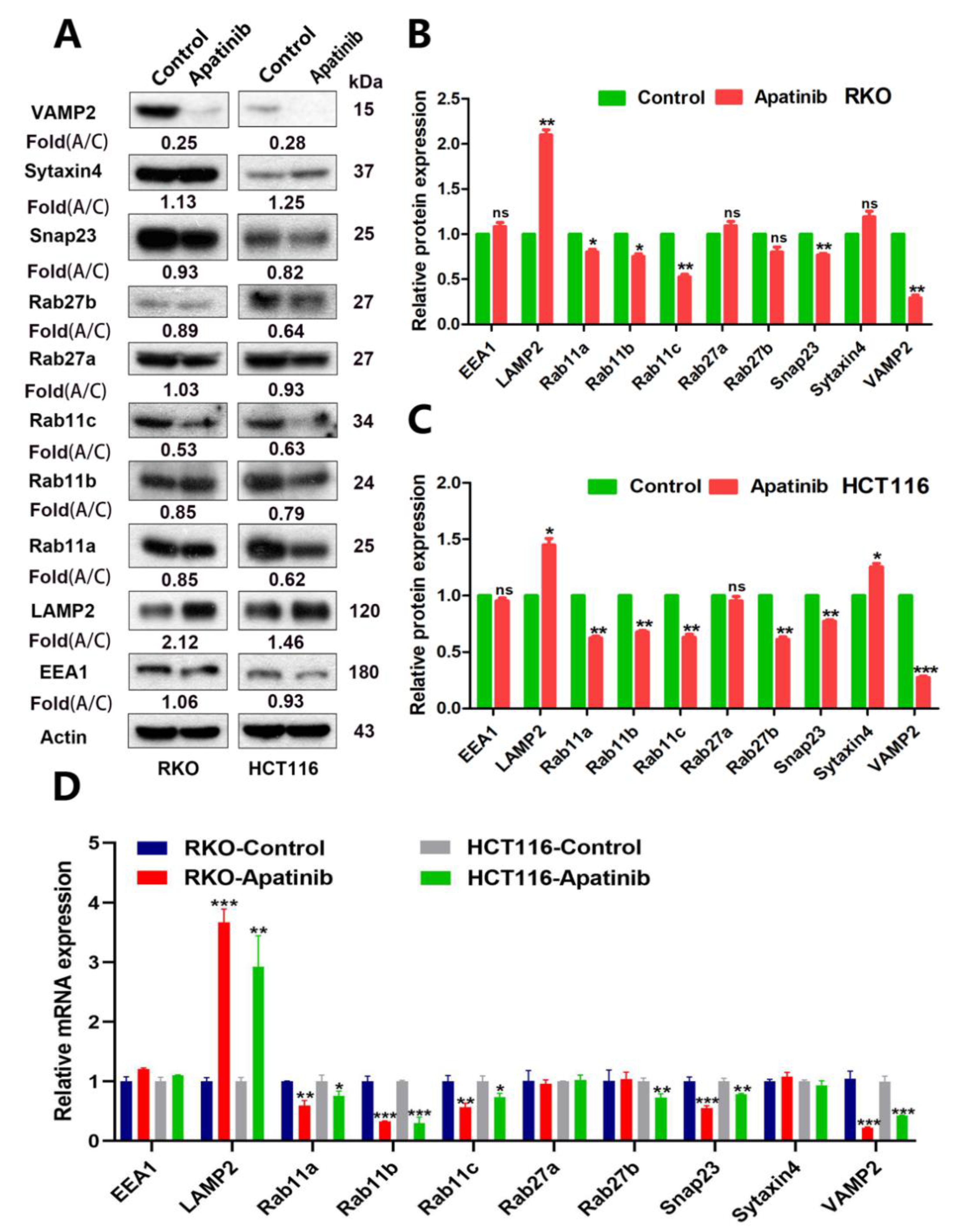 Cancers 14 02492 g006