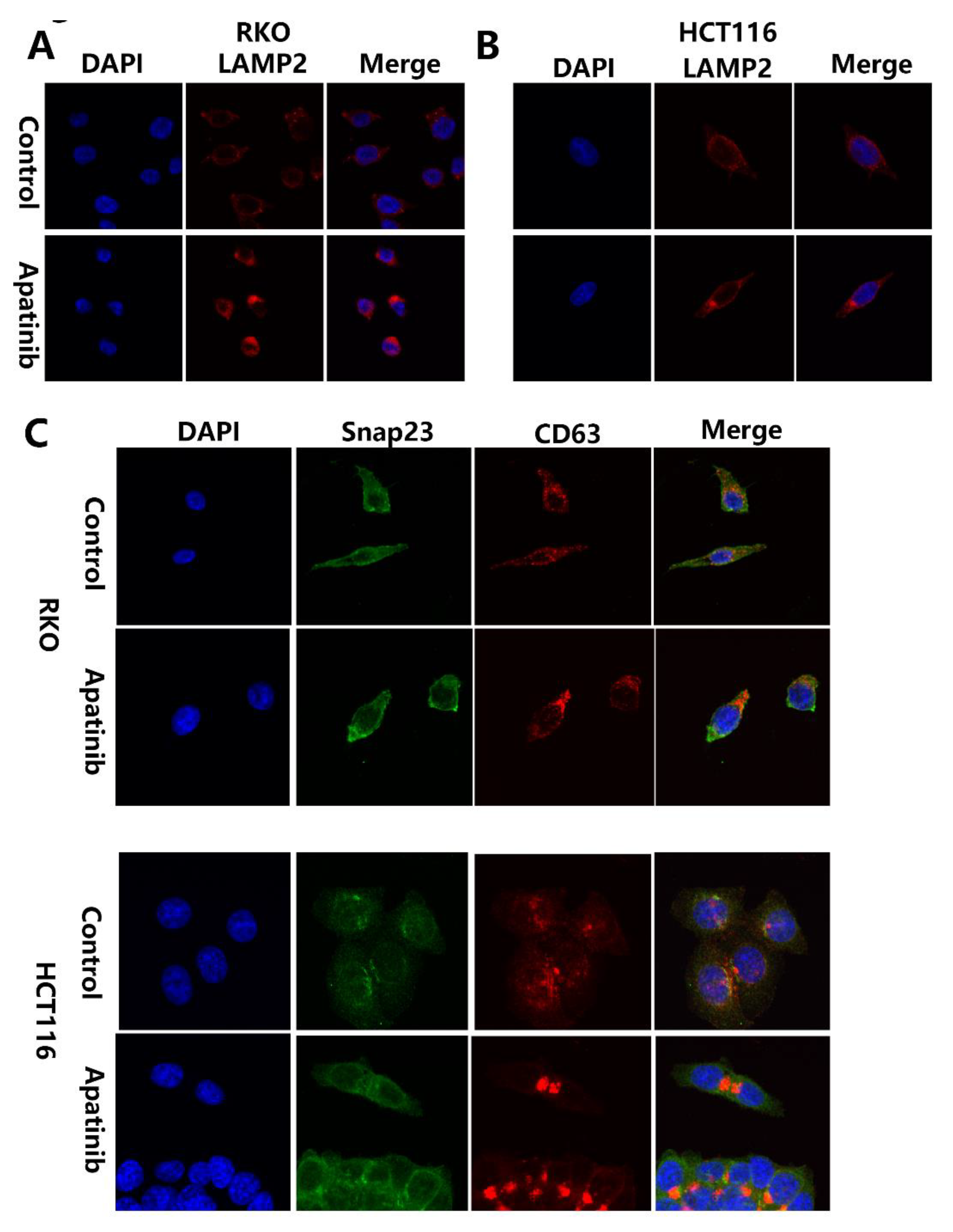 Cancers 14 02492 g007