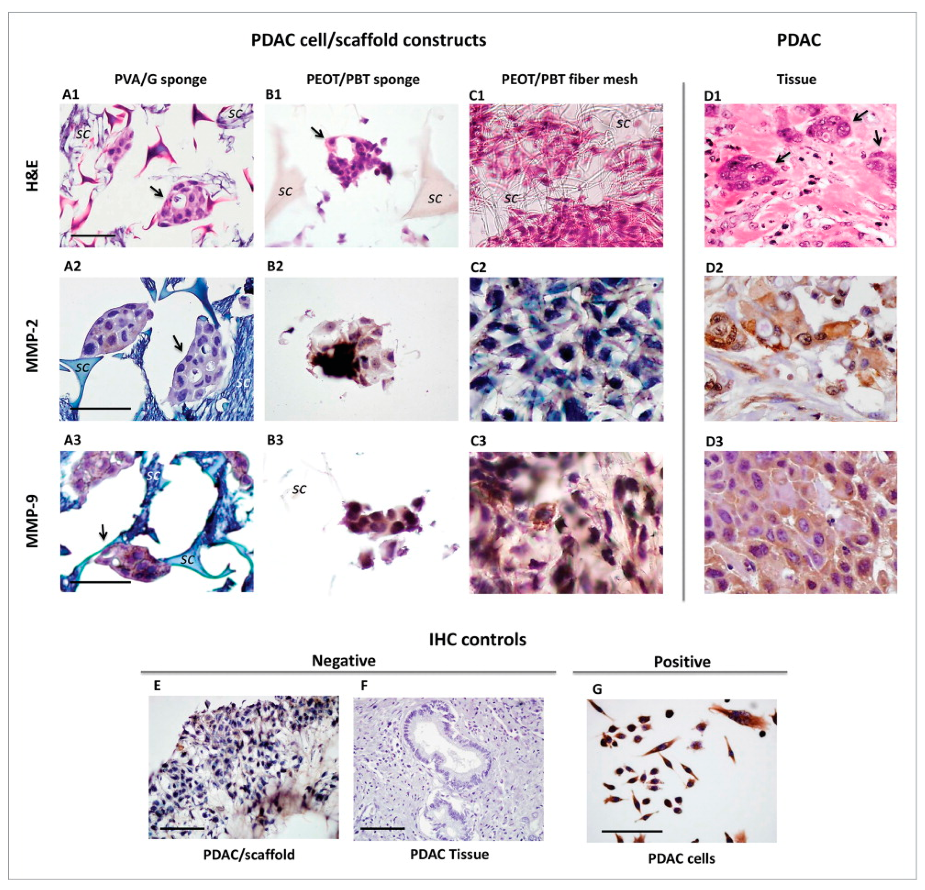 Cancers 14 02503 g002