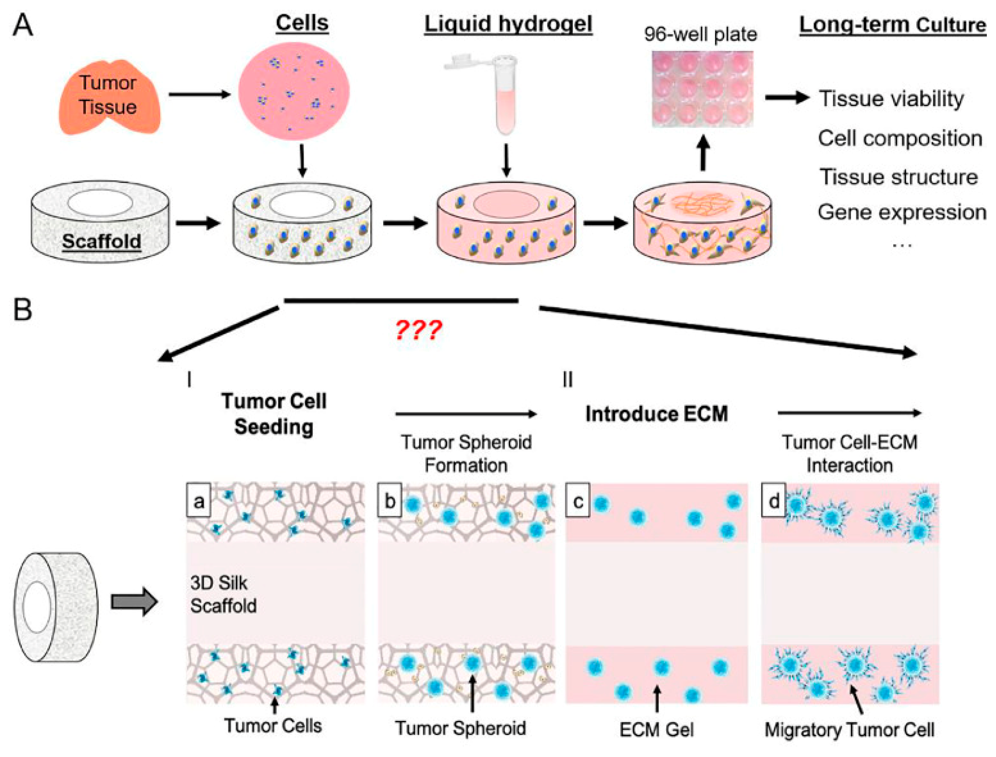 Cancers 14 02503 g003