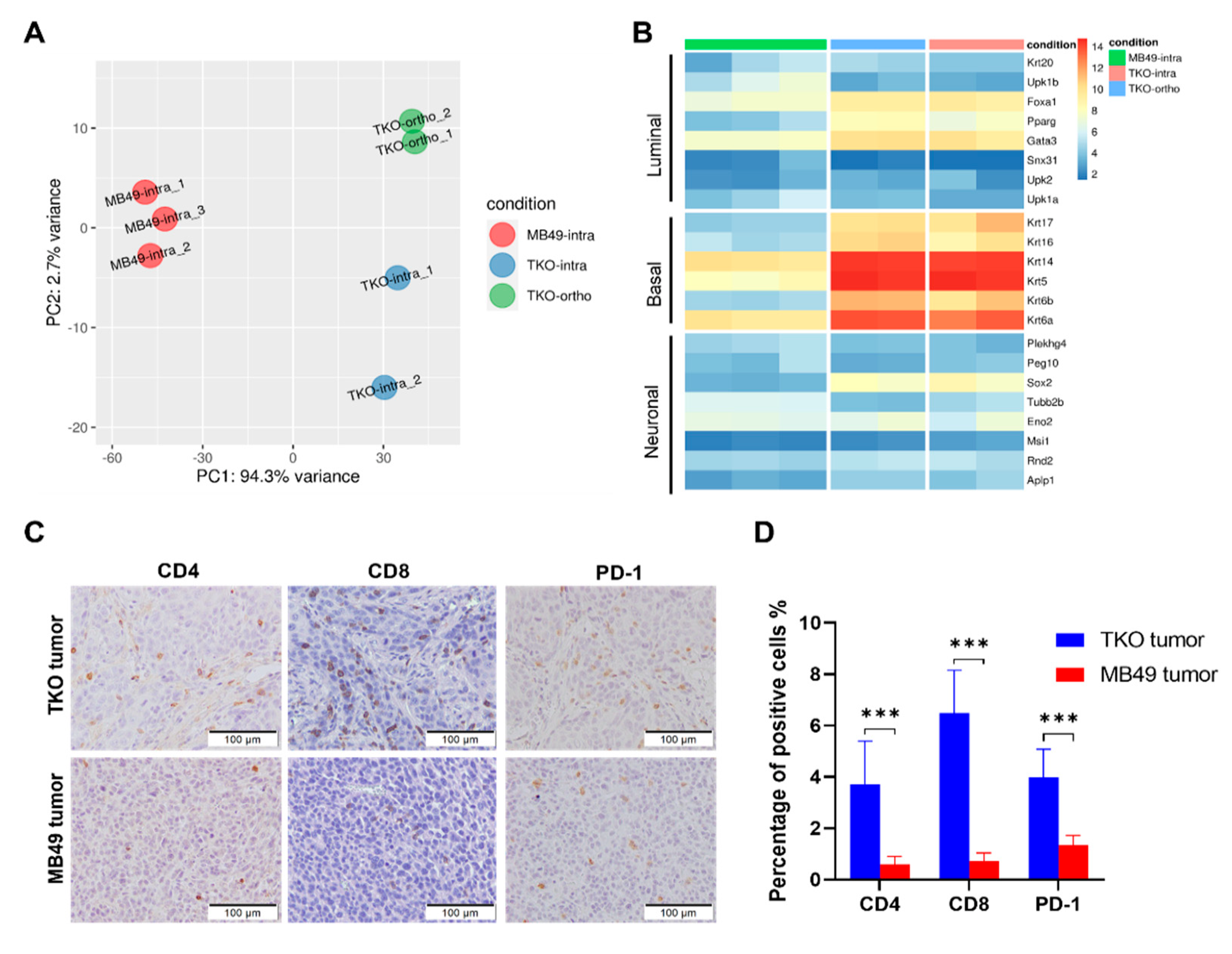 Cancers 14 02511 g003