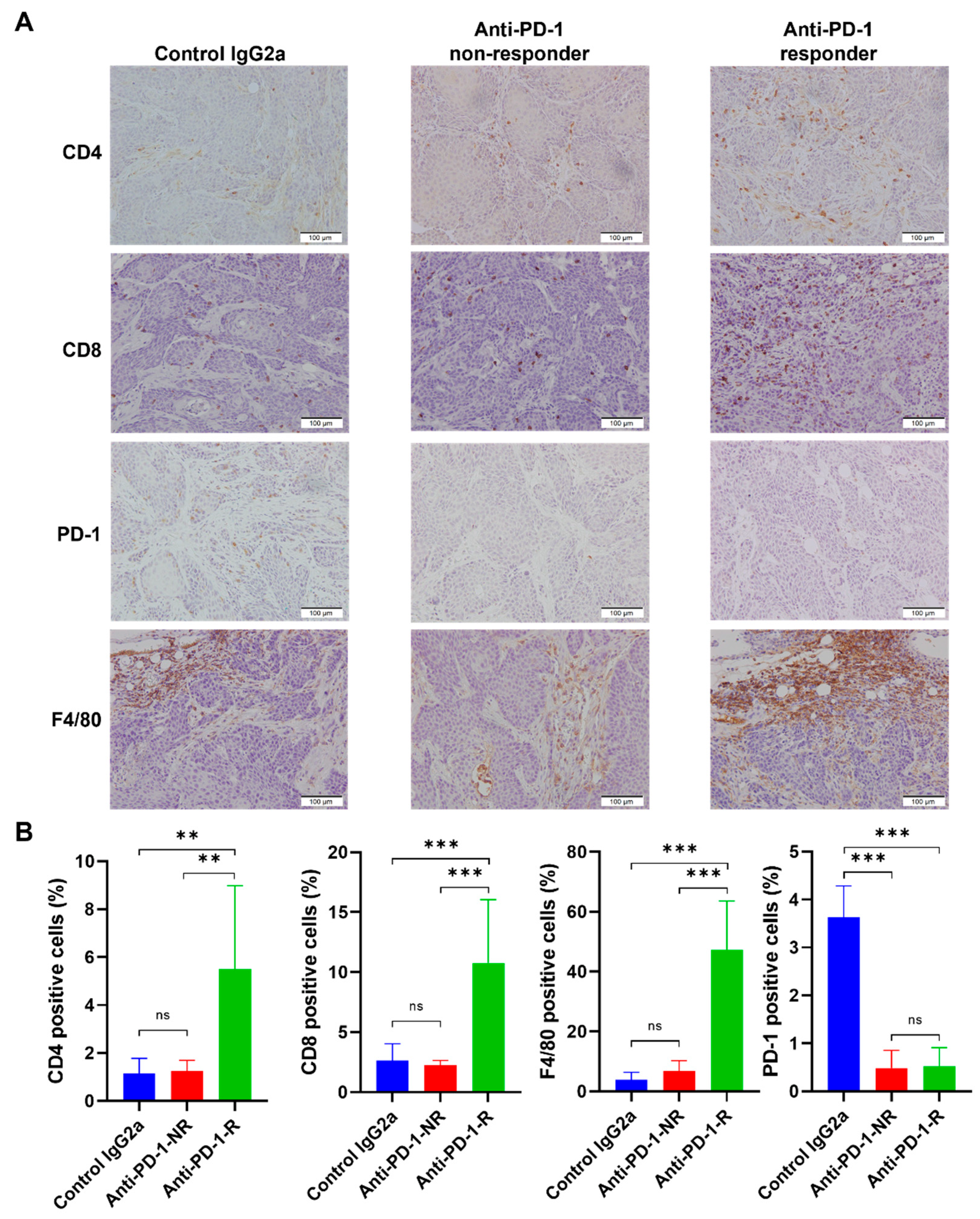 Cancers 14 02511 g005