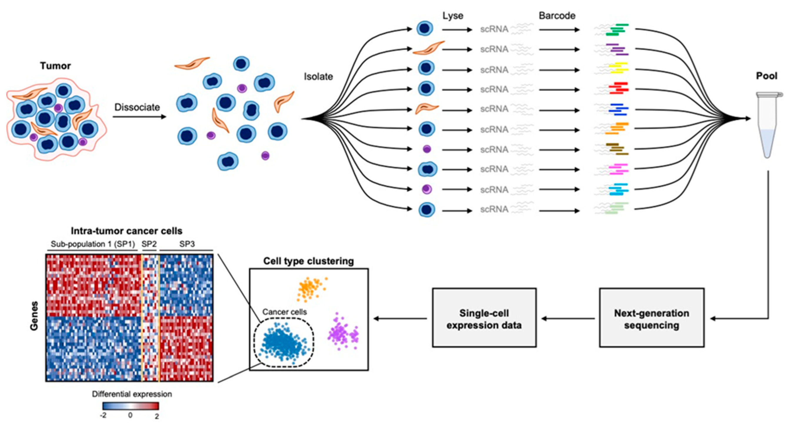Cancers 14 02515 g001