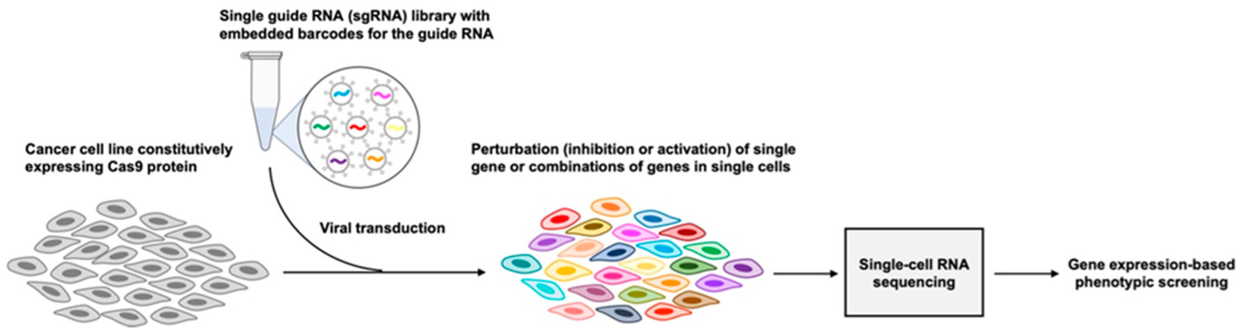 Cancers 14 02515 g003