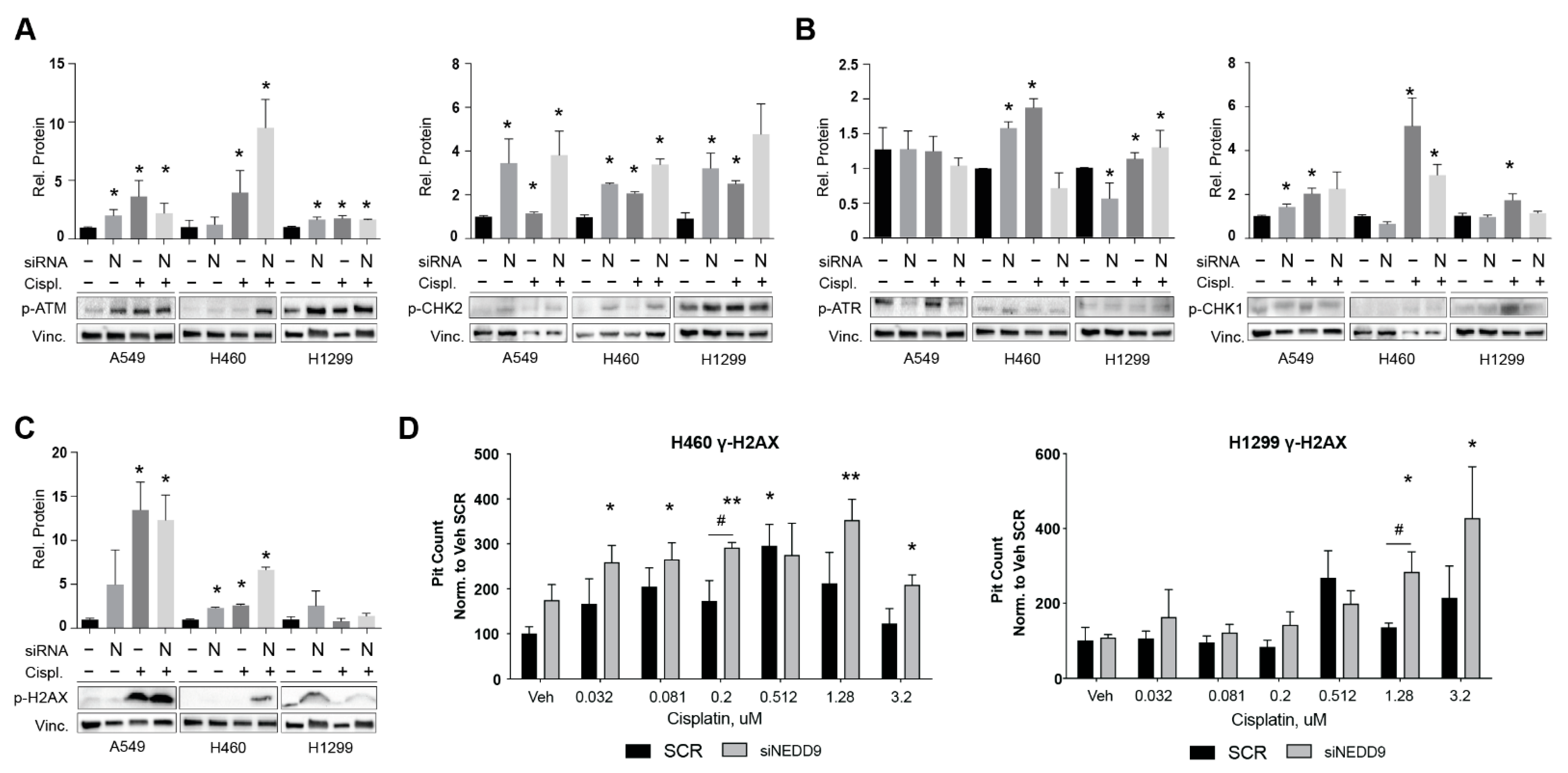 Cancers 14 02517 g002