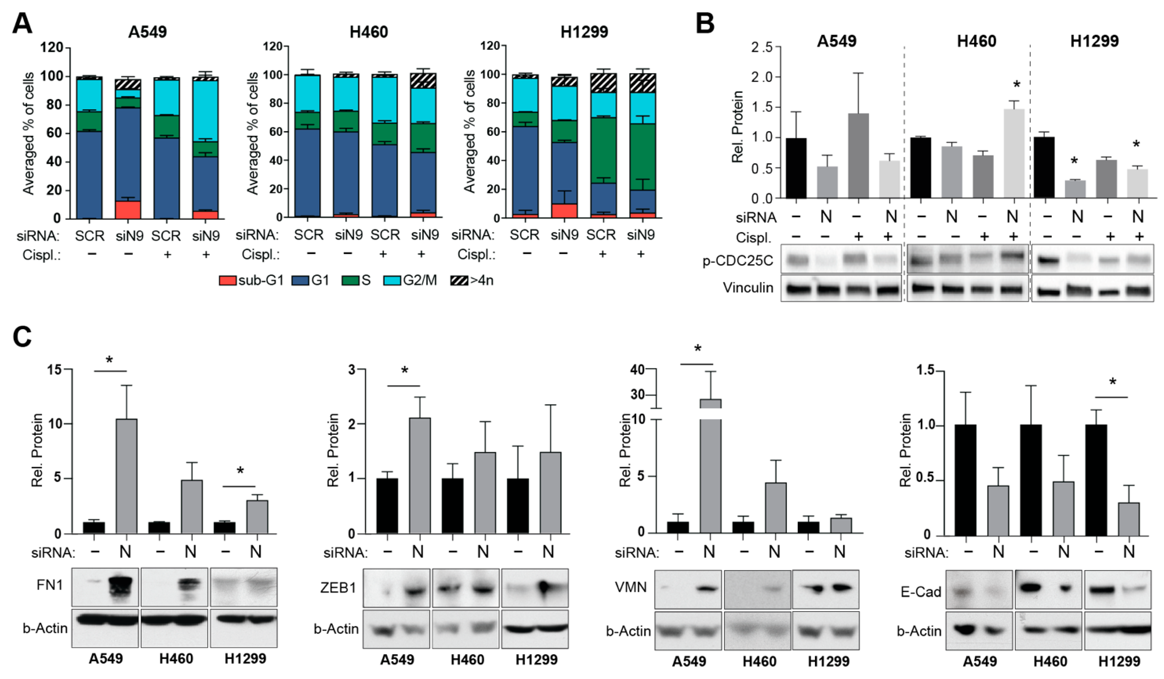Cancers 14 02517 g003