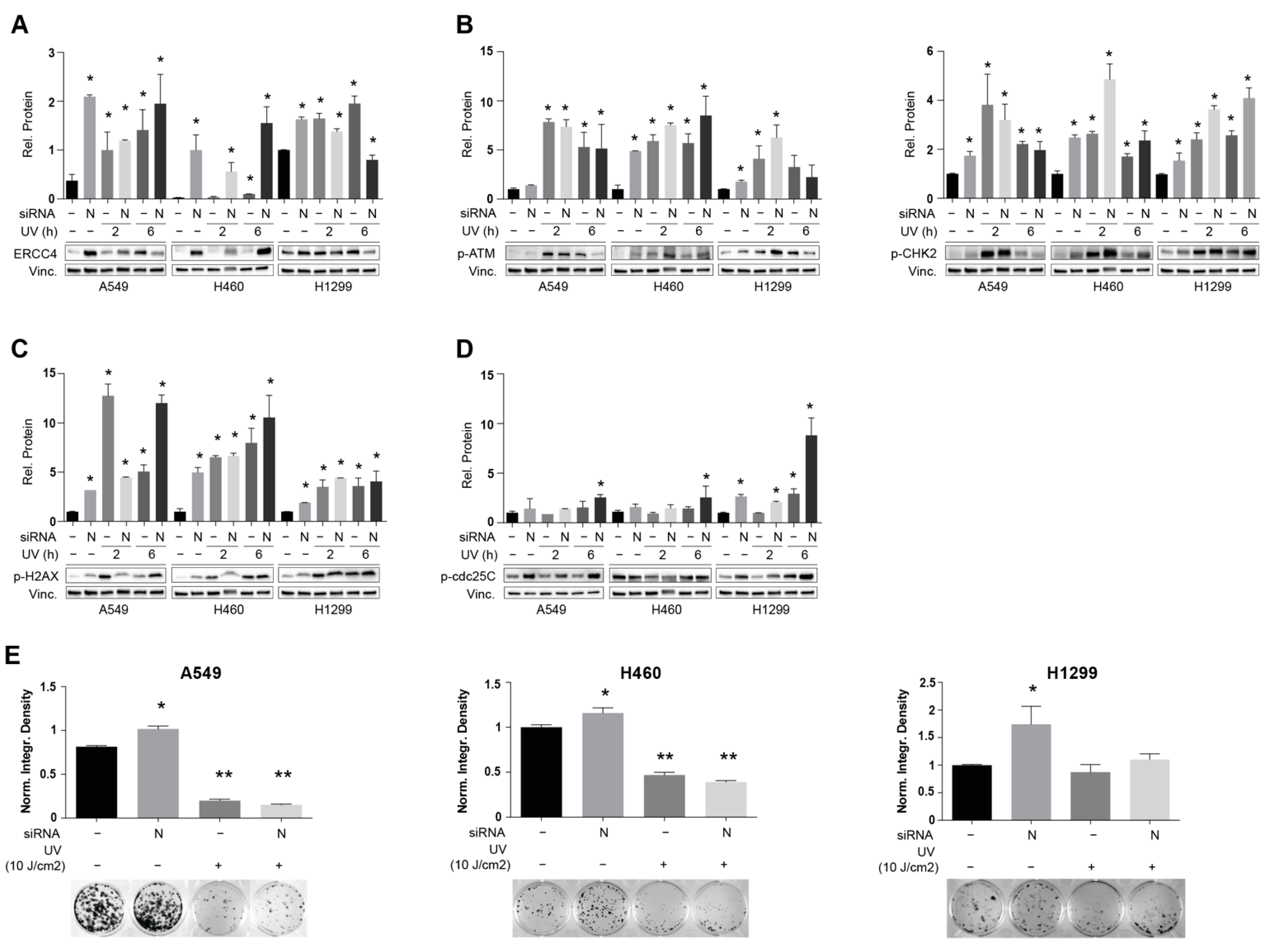 Cancers 14 02517 g004