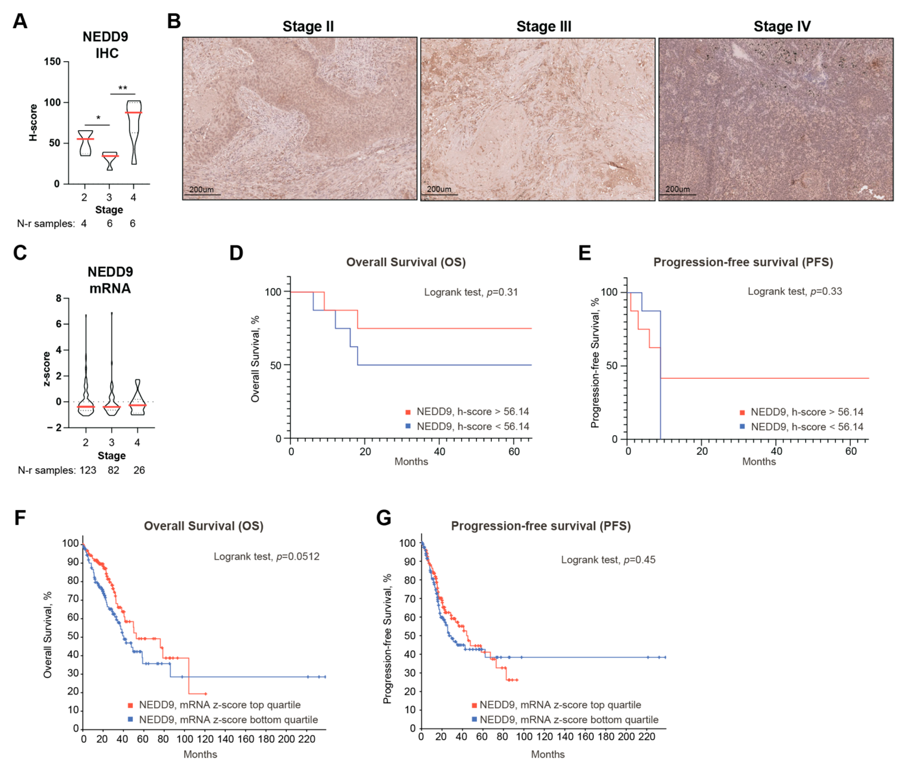 Cancers 14 02517 g005