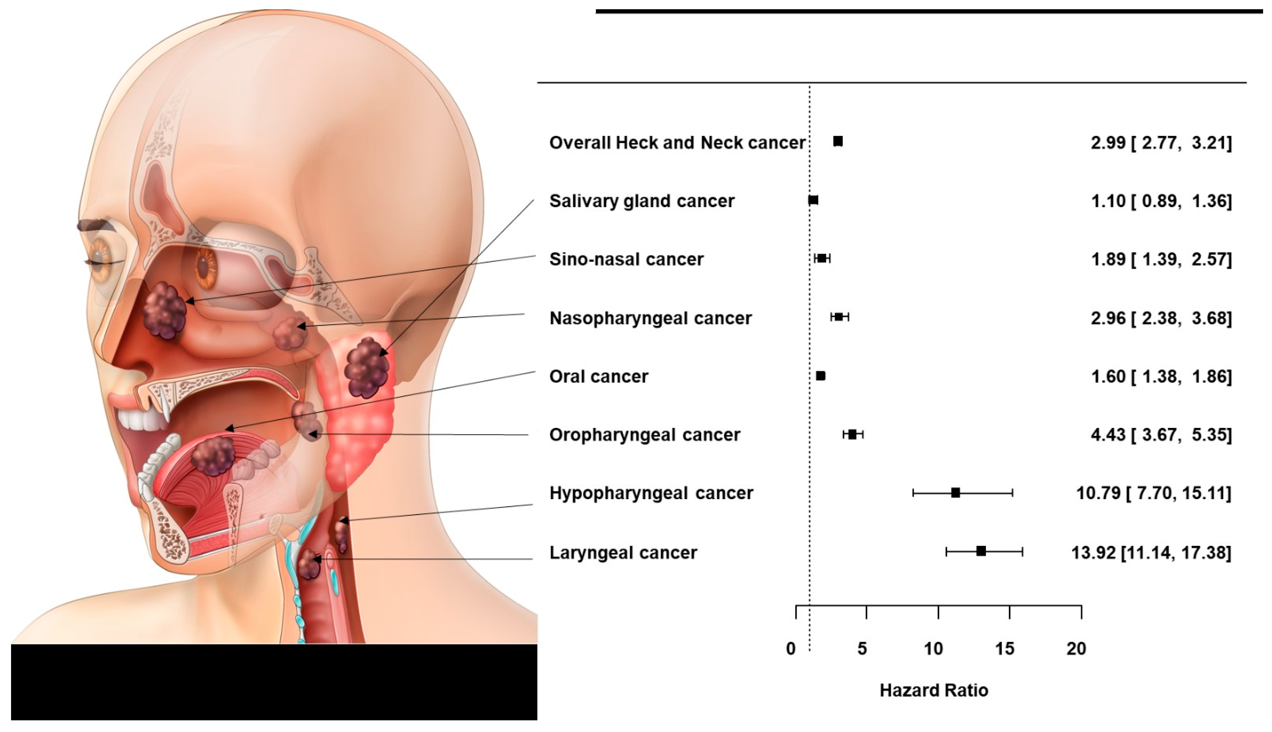 Cancers 14 02521 g004