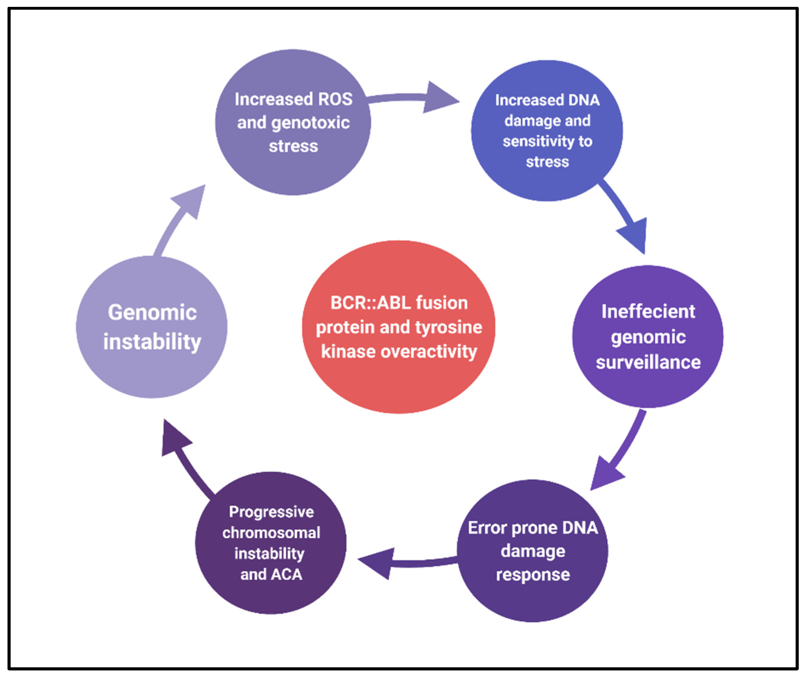 Cancers 14 02533 g002 Cancers 14 02533 g002