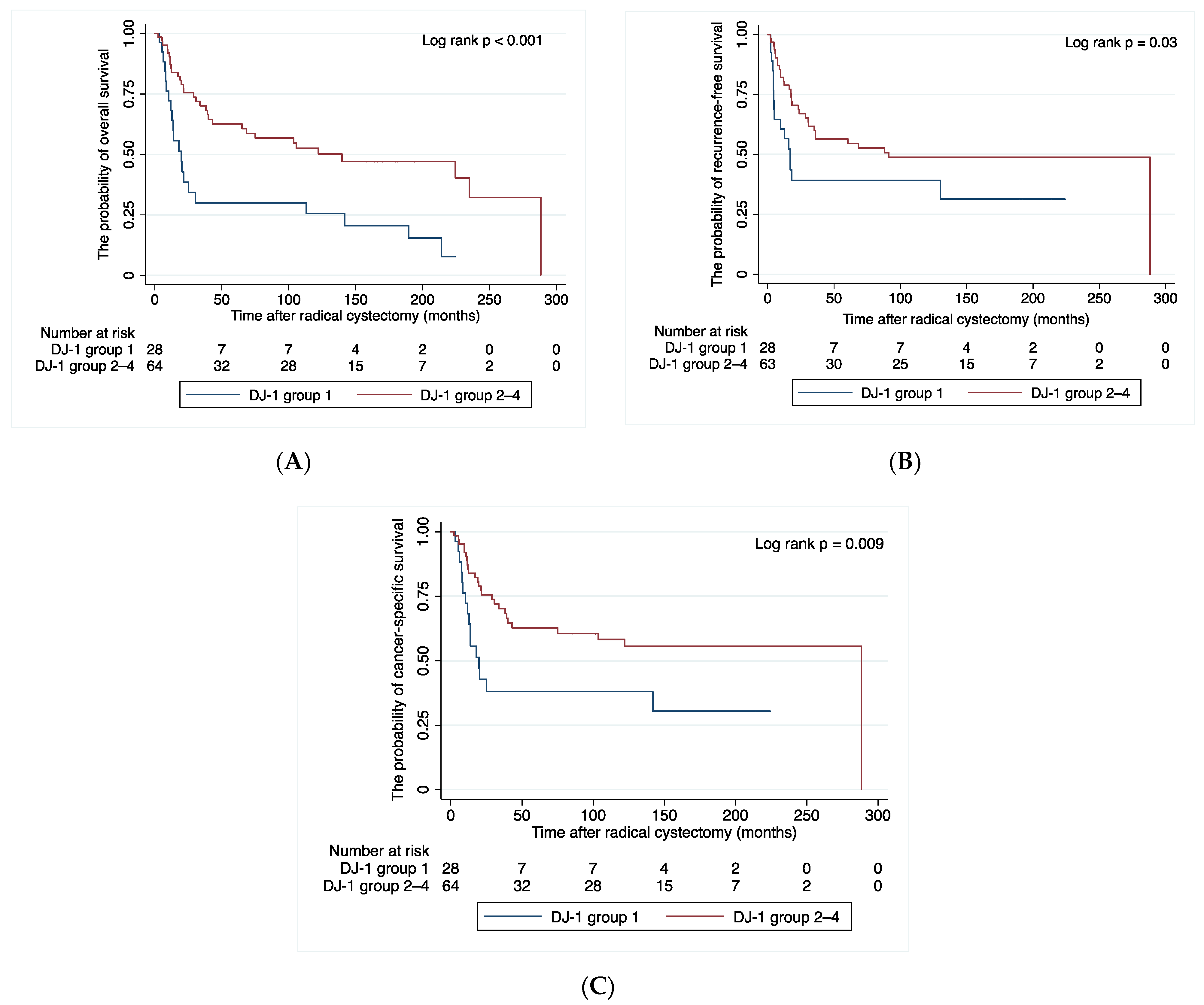 Cancers 14 02535 g005 Cancers 14 02535 g005