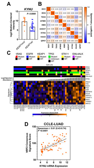 Cancers 14 02543 g0a2 550