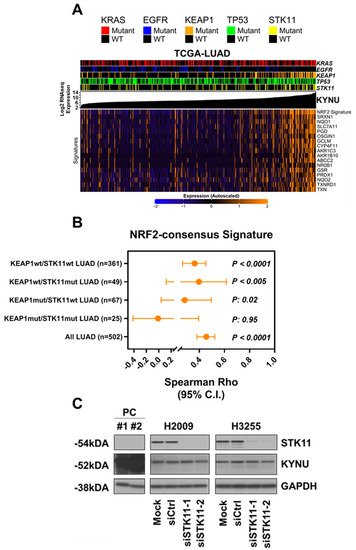 Cancers 14 02543 g0a3 550