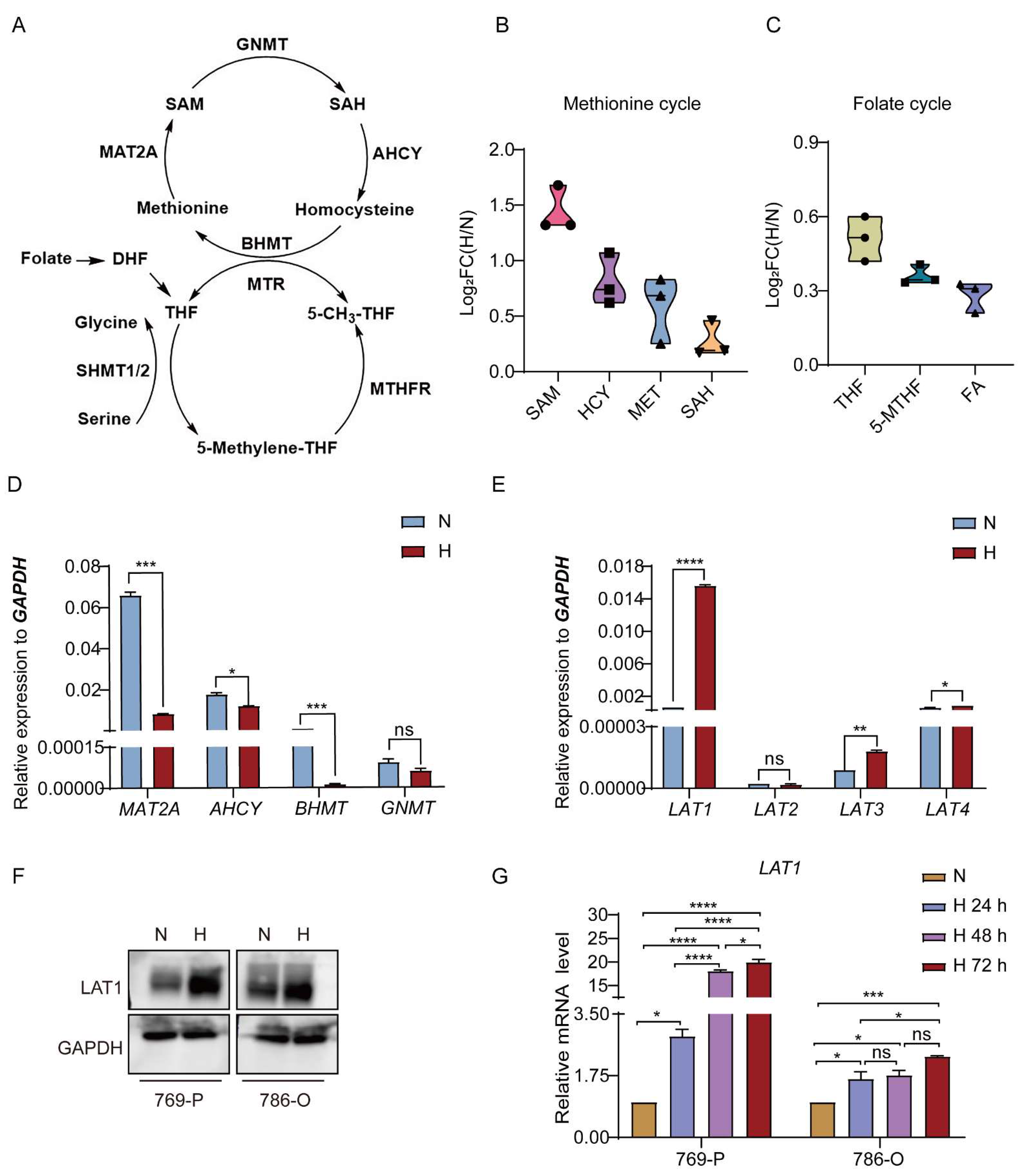 Cancers 14 02551 g001