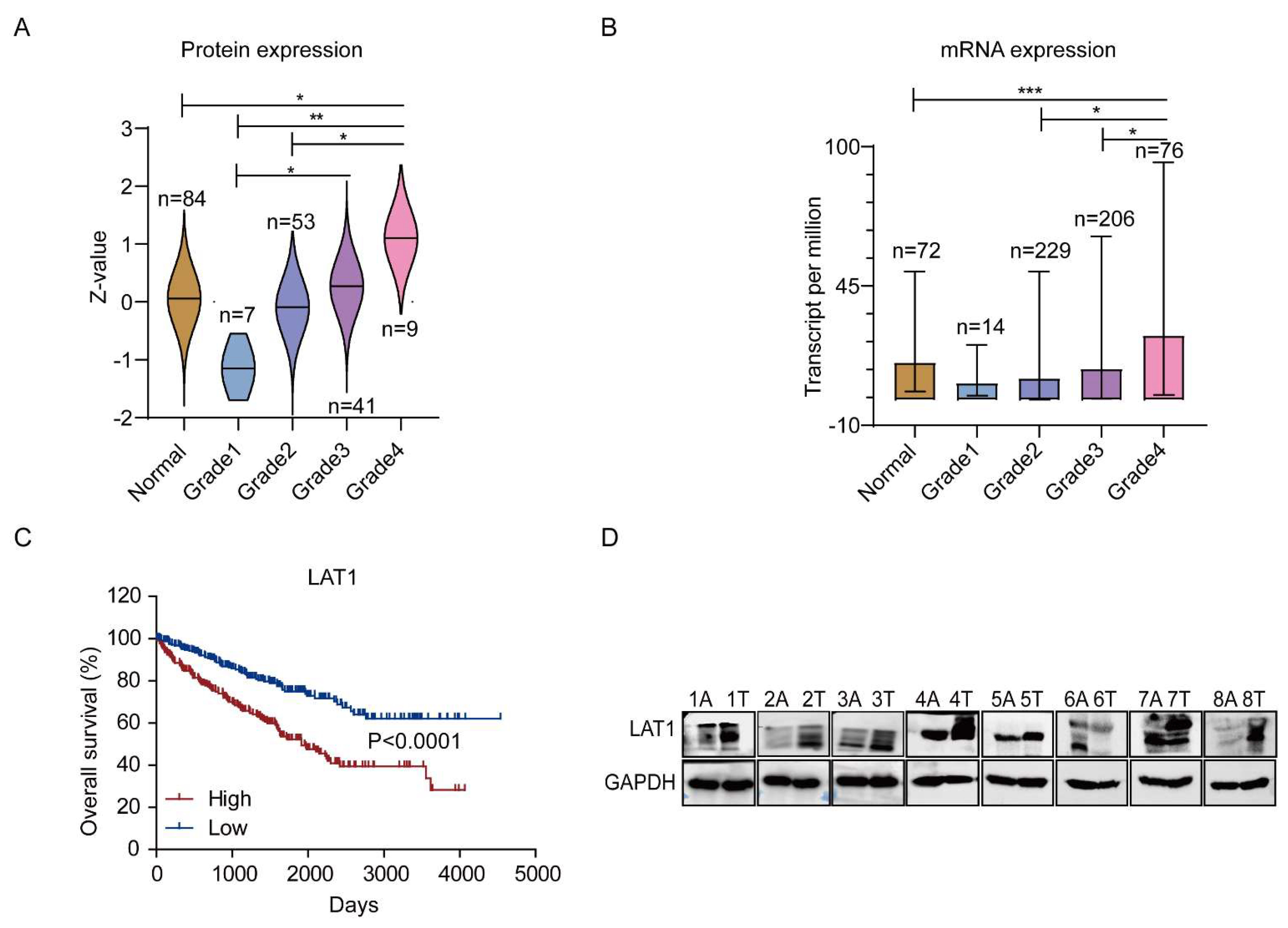 Cancers 14 02551 g003