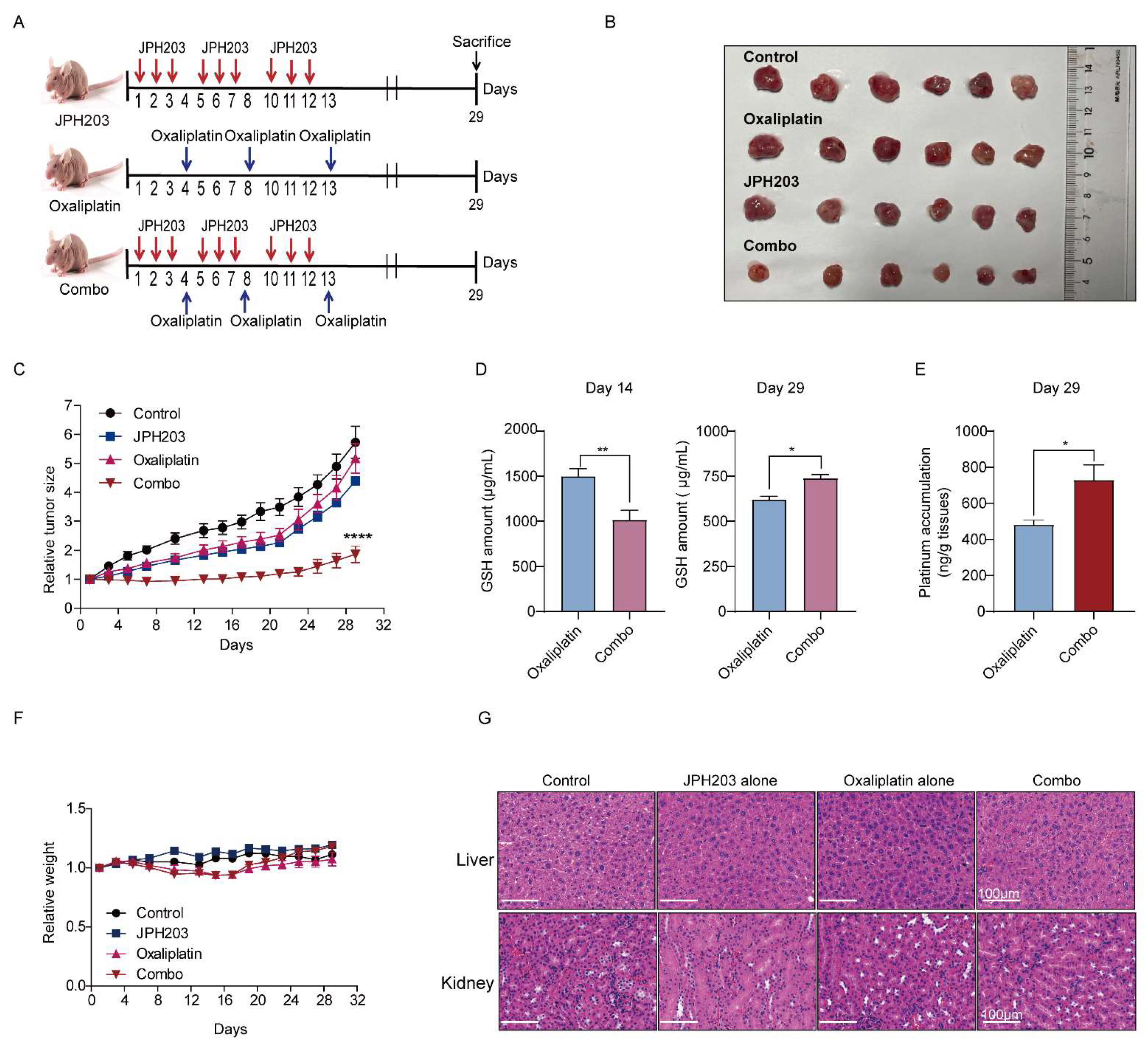 Cancers 14 02551 g005