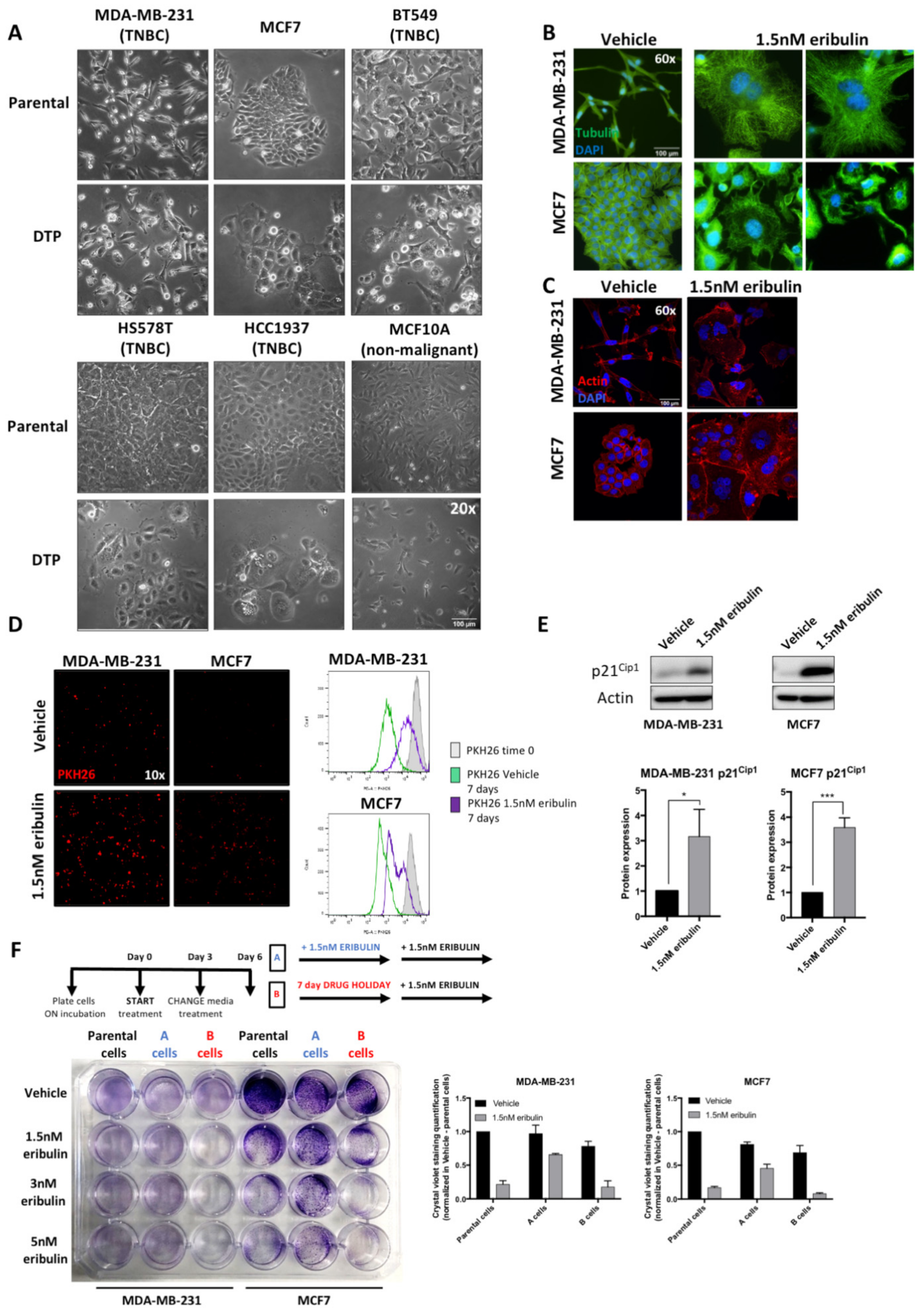 Cancers 14 02562 g001
