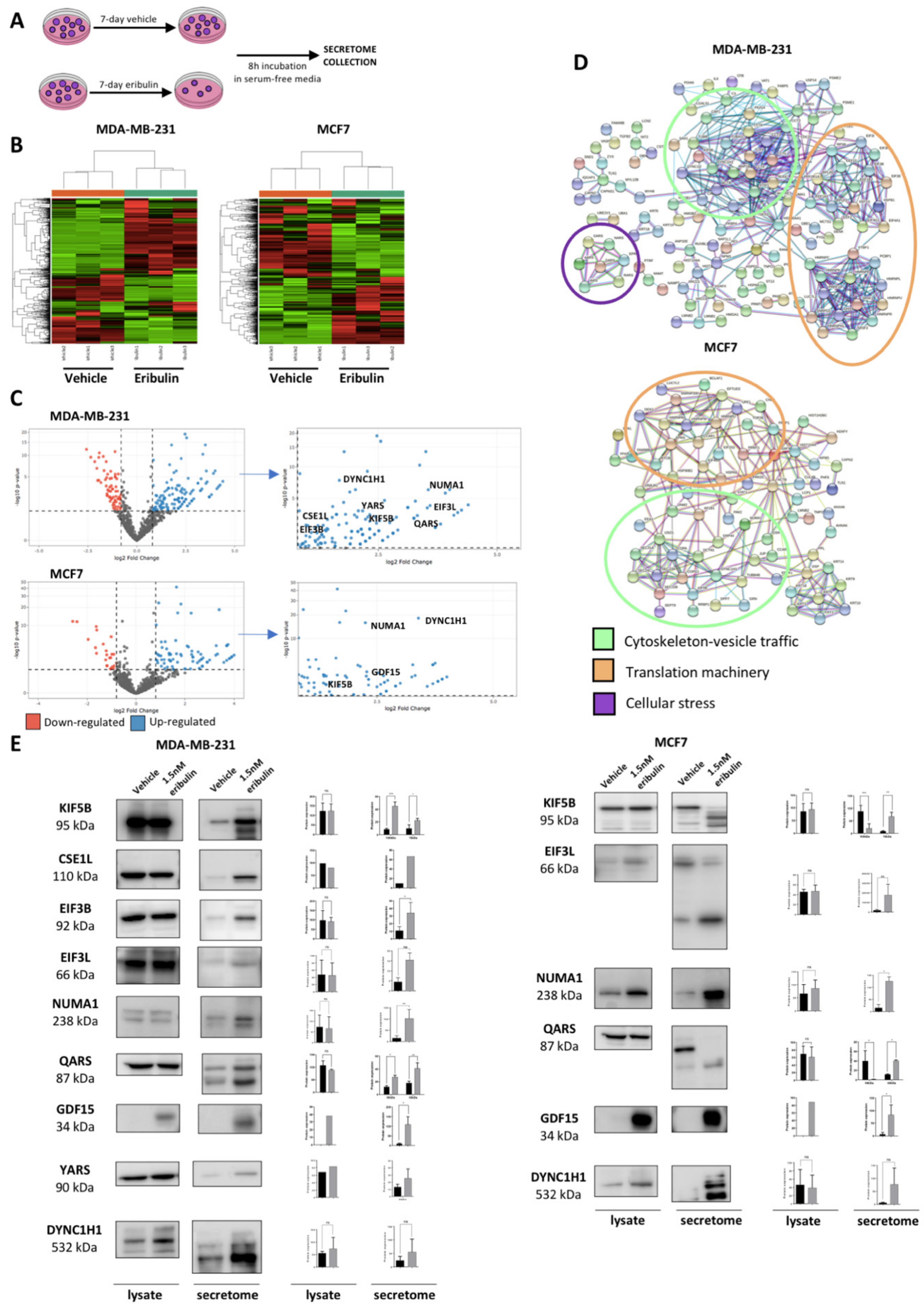 Cancers 14 02562 g002