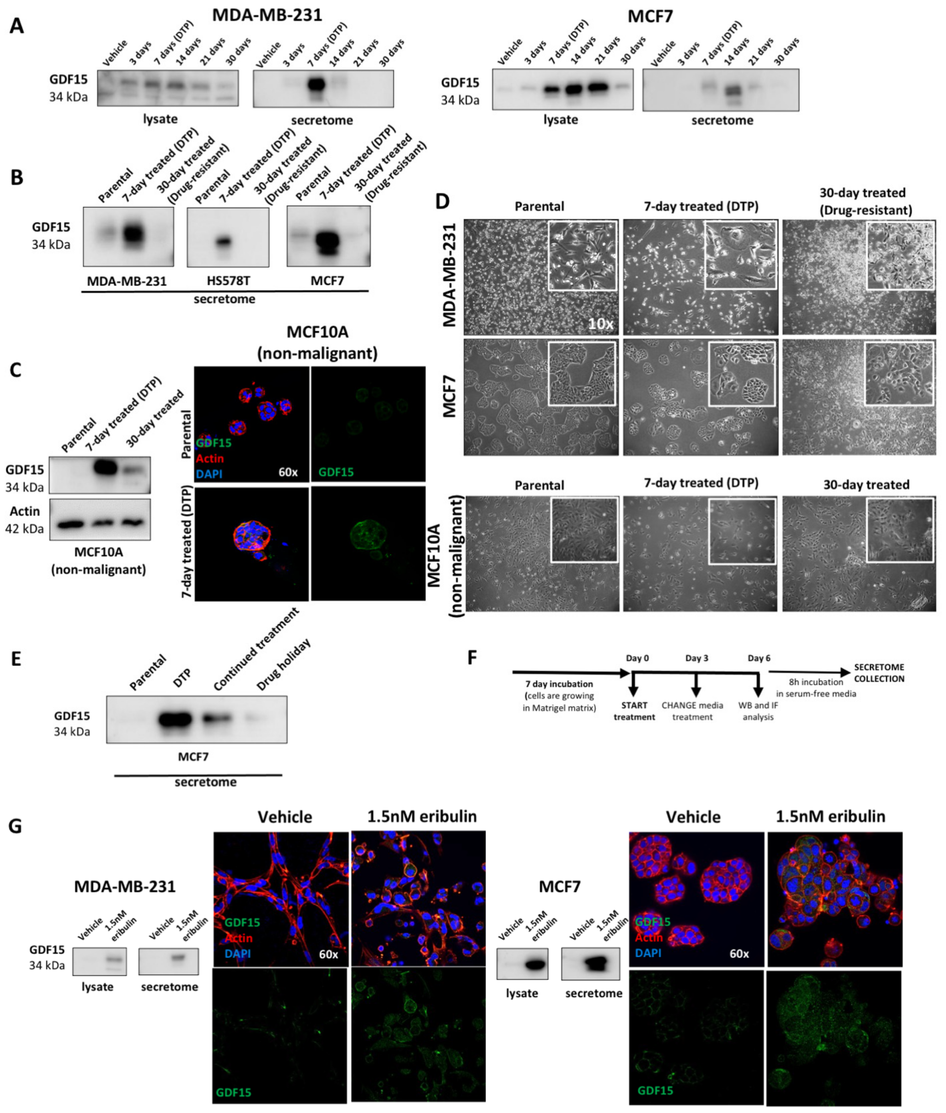 Cancers 14 02562 g004a