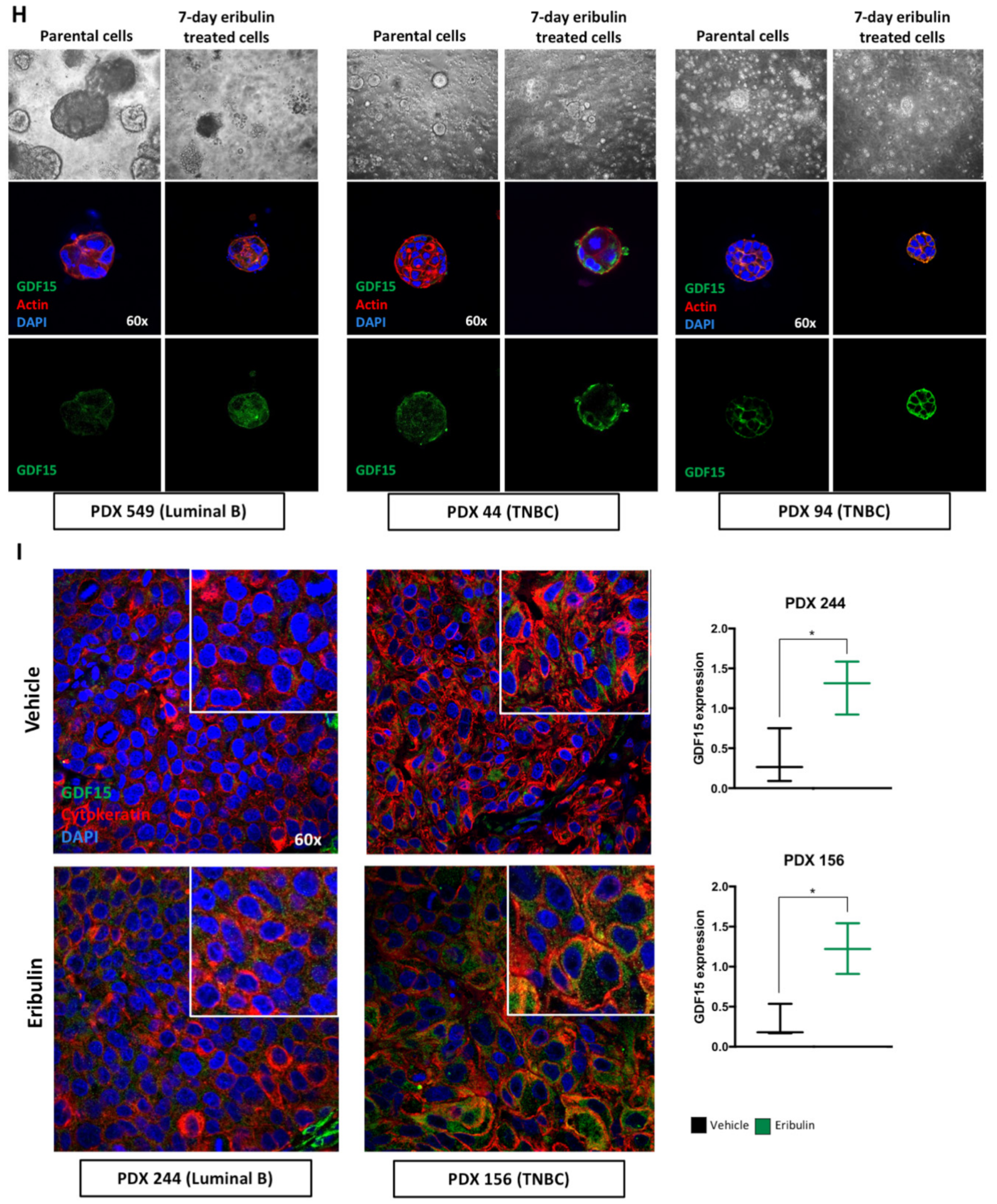 Cancers 14 02562 g004b
