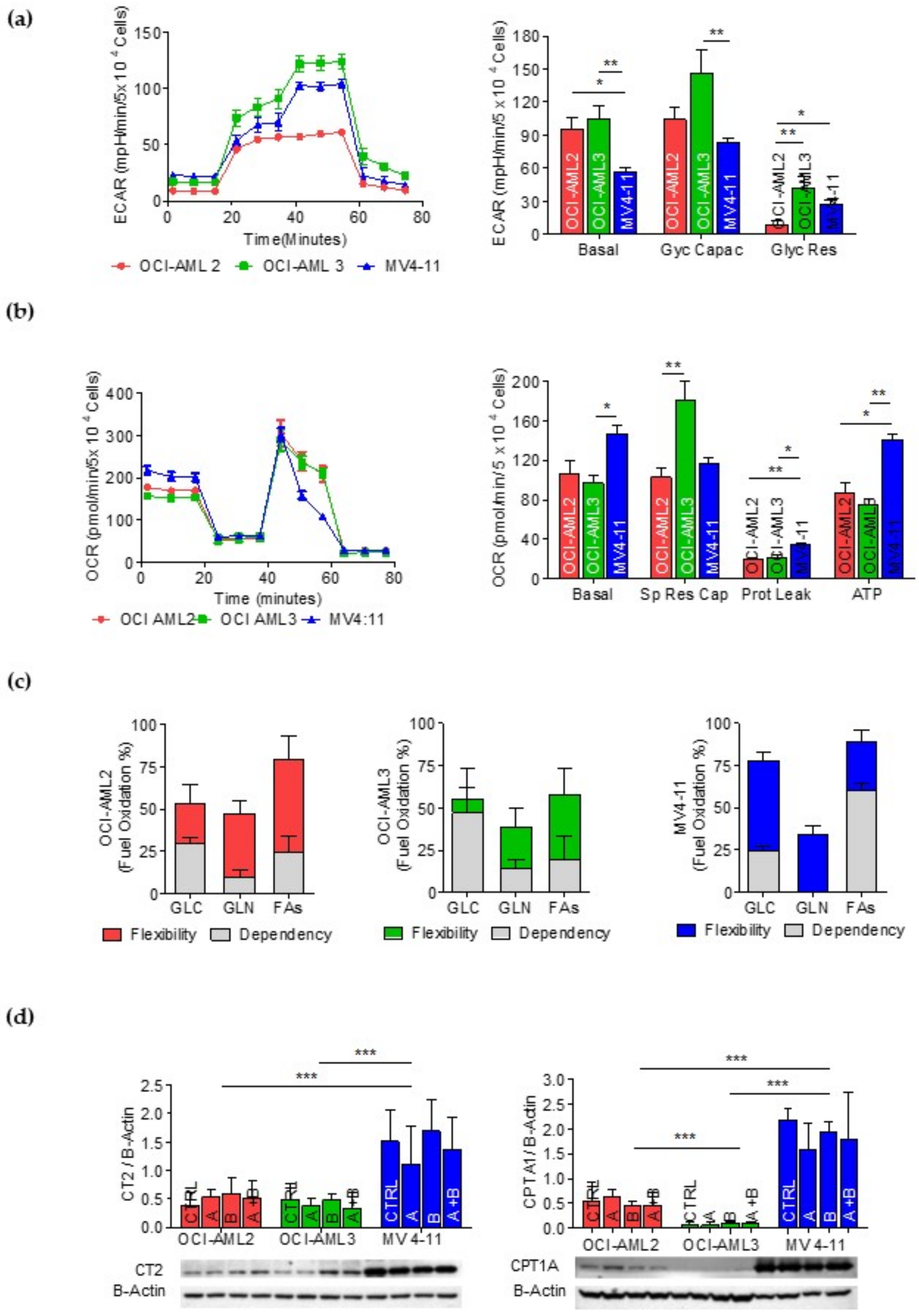 Cancers 14 02565 g002