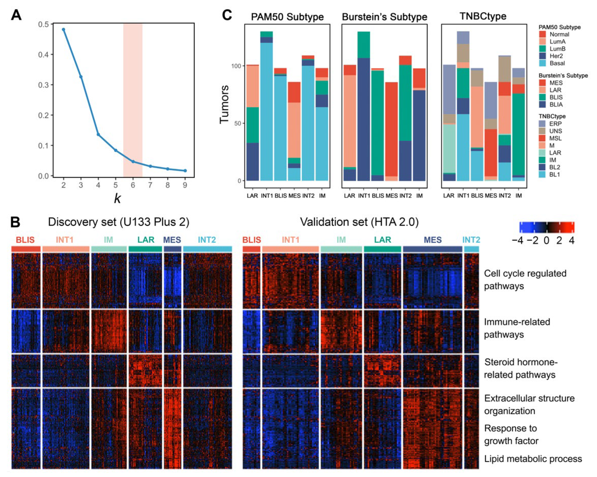 Cancers 14 02571 g004
