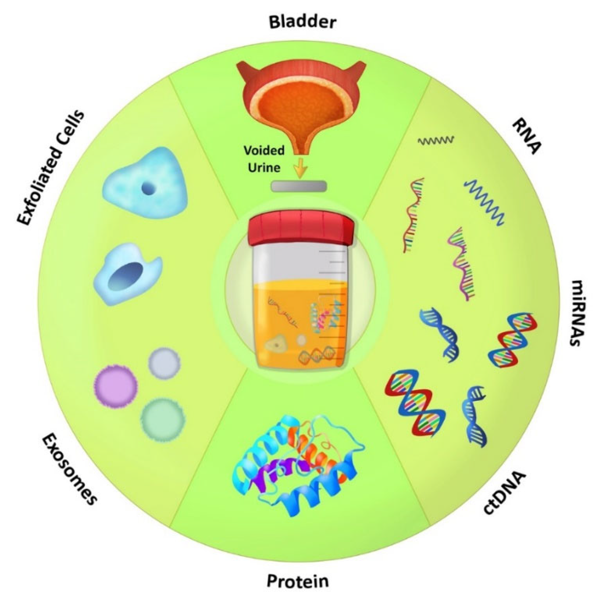 Cancers 14 02578 g005 Cancers 14 02578 g005