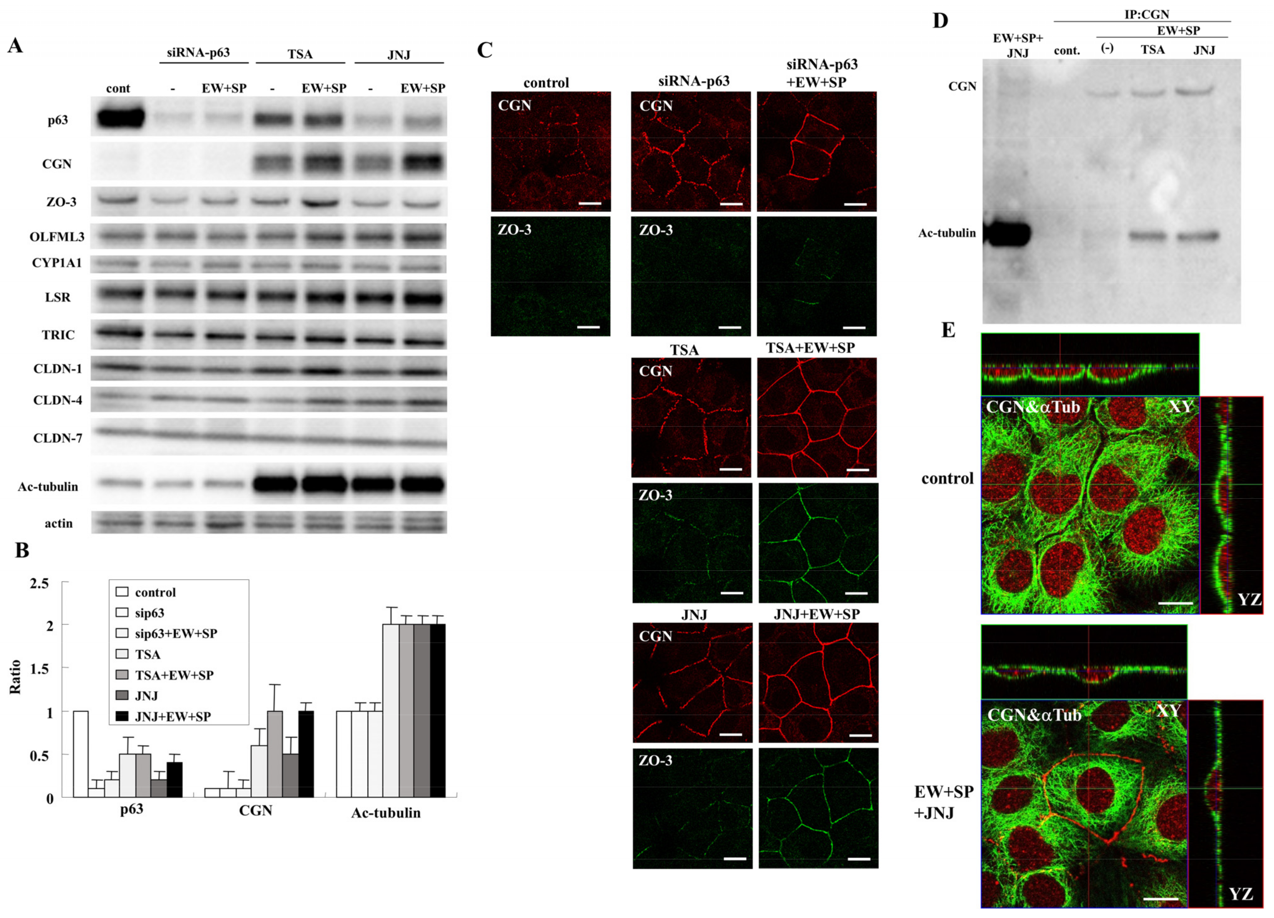 Cancers 14 02584 g003