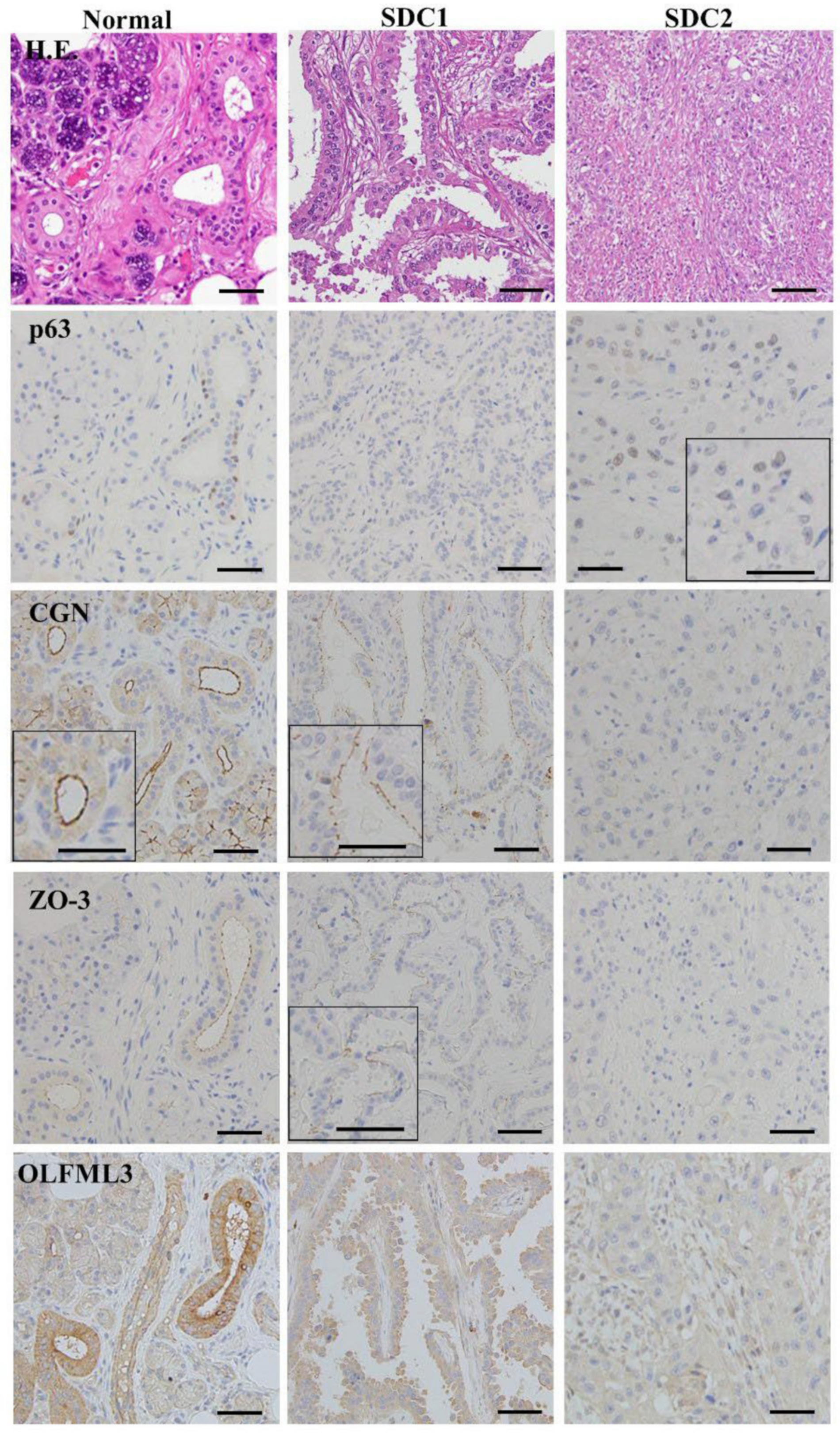 Cancers 14 02584 g007