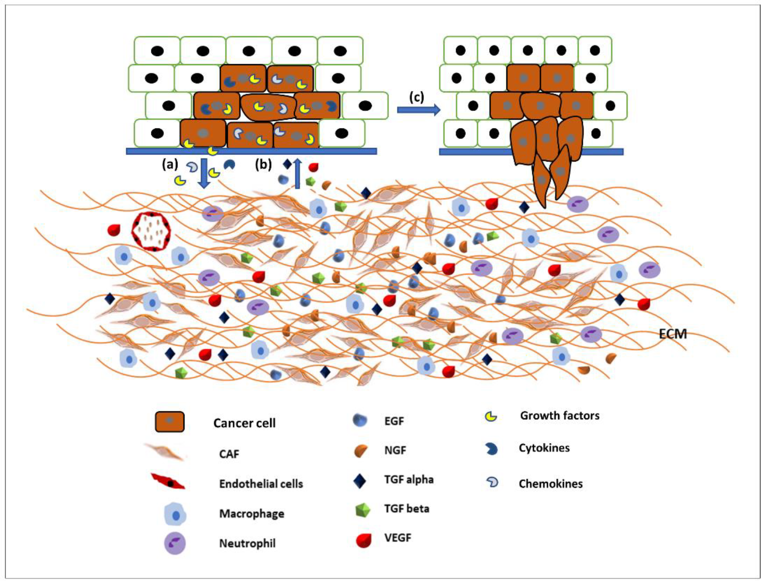 Cancers 14 02606 g002