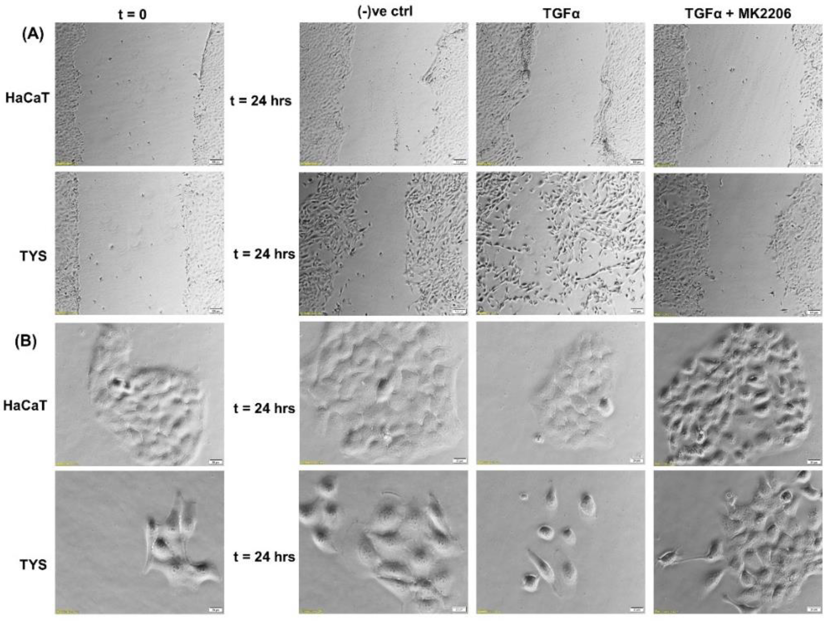 Cancers 14 02606 g004