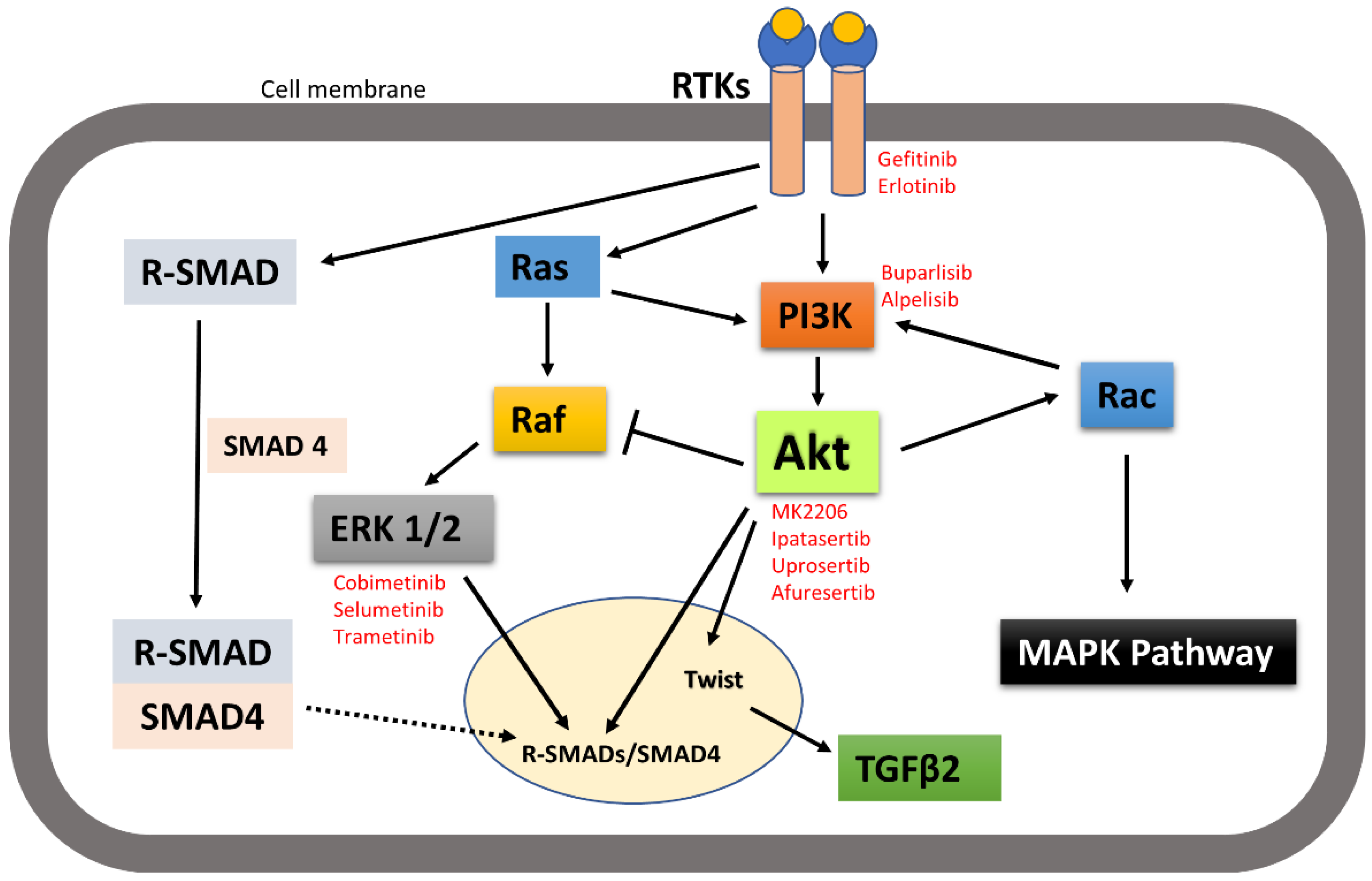 Cancers 14 02606 g008