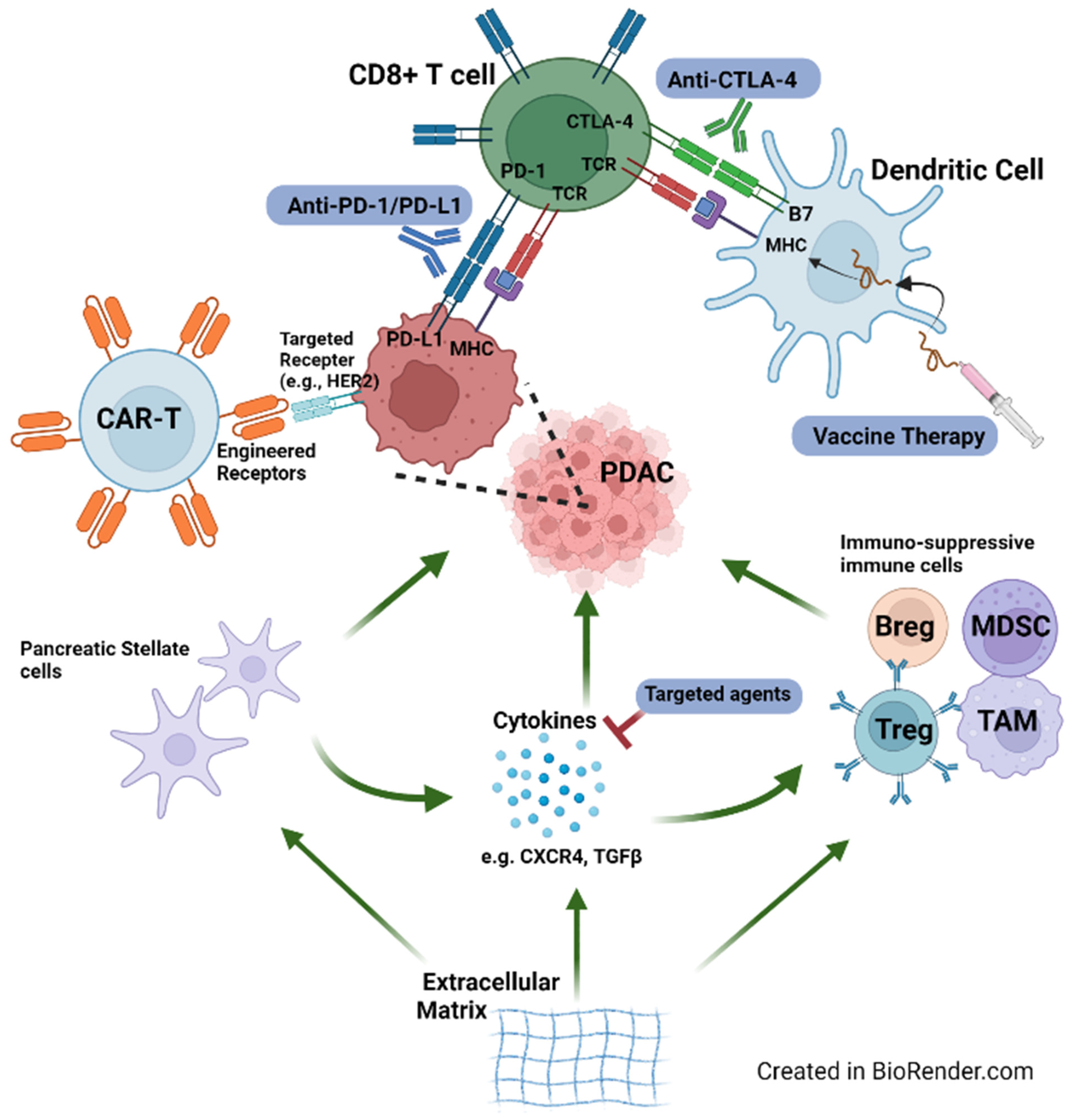 Cancers 14 02619 g001