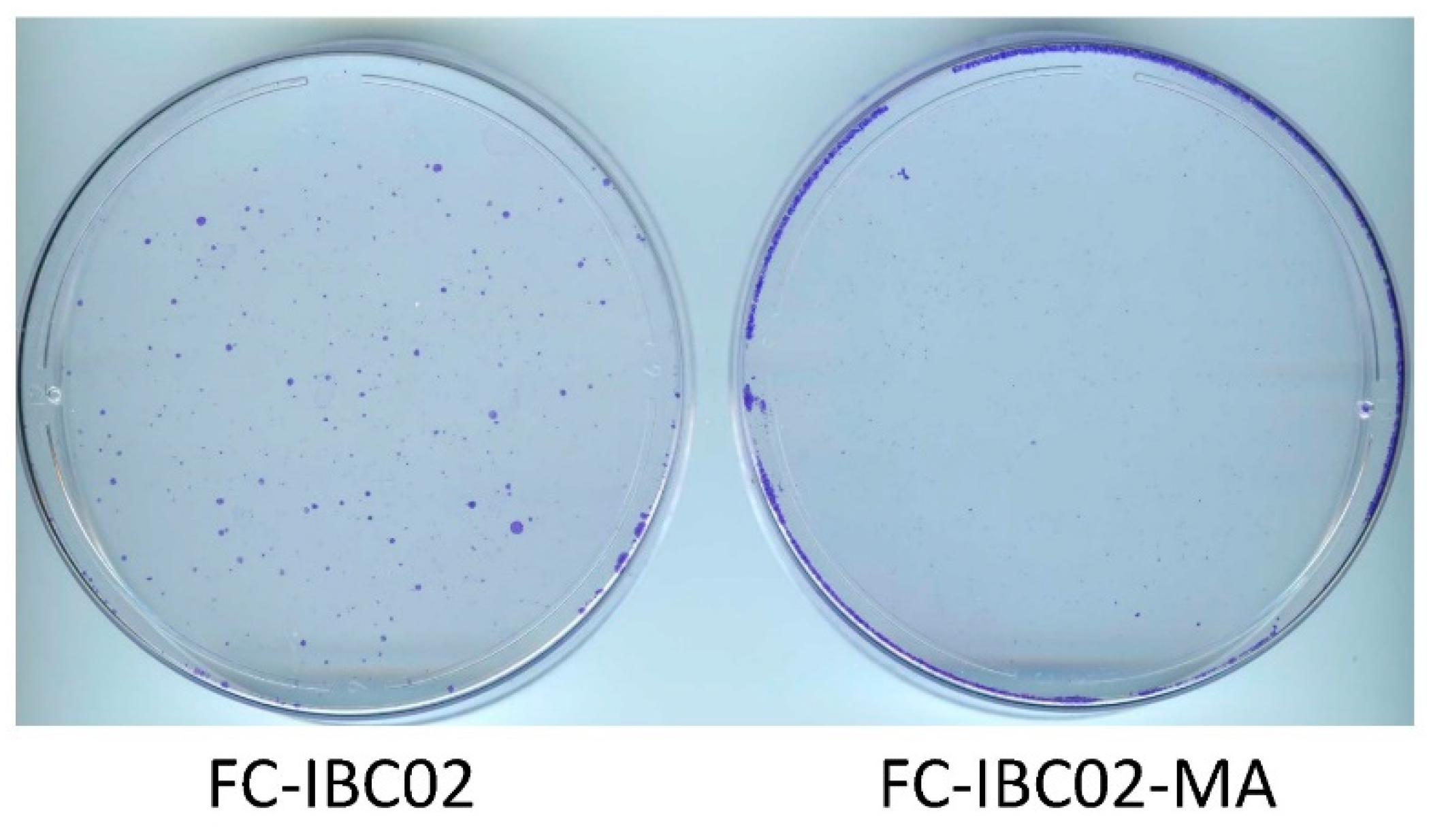 Cancers 14 02631 g005