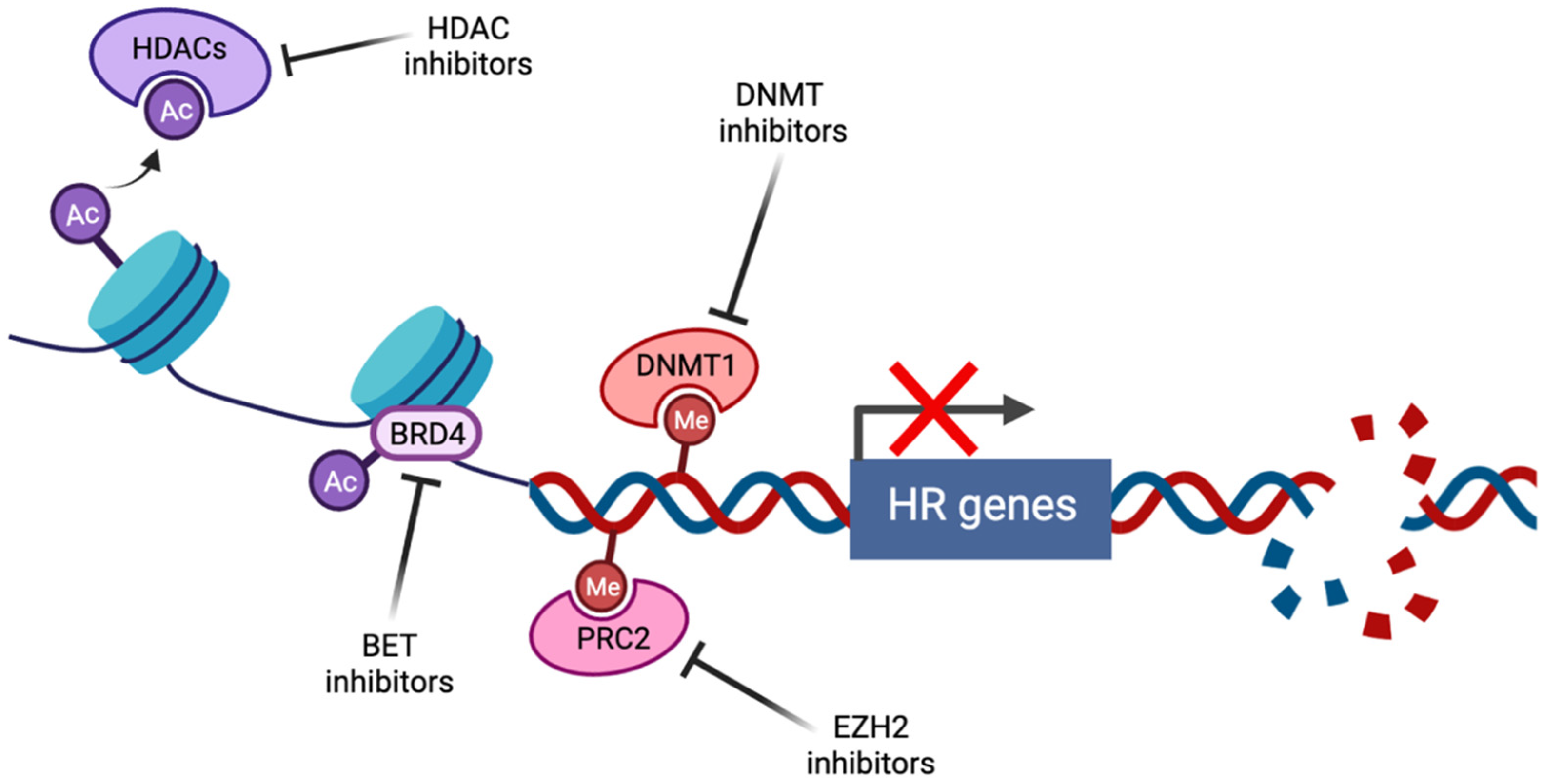 Cancers 14 02640 g001 Cancers 14 02640 g001