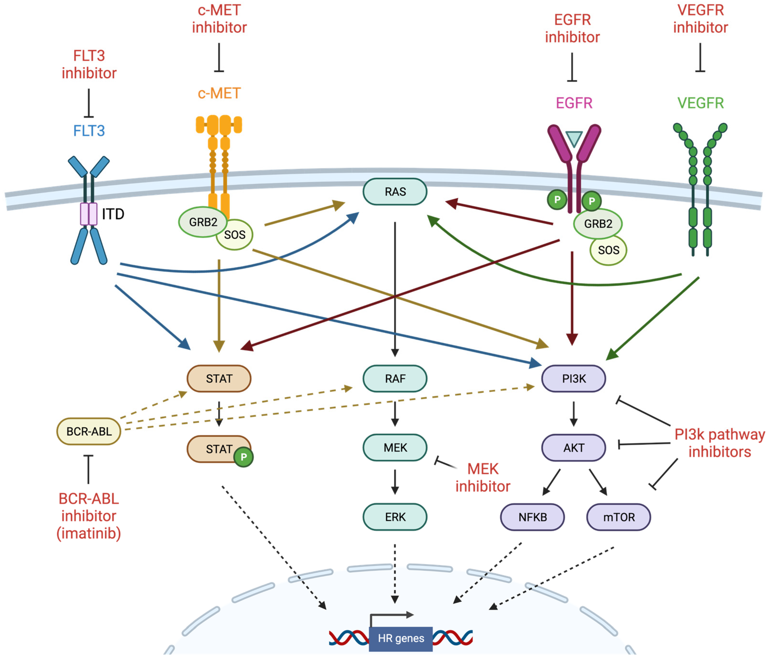 Cancers 14 02640 g003 Cancers 14 02640 g003