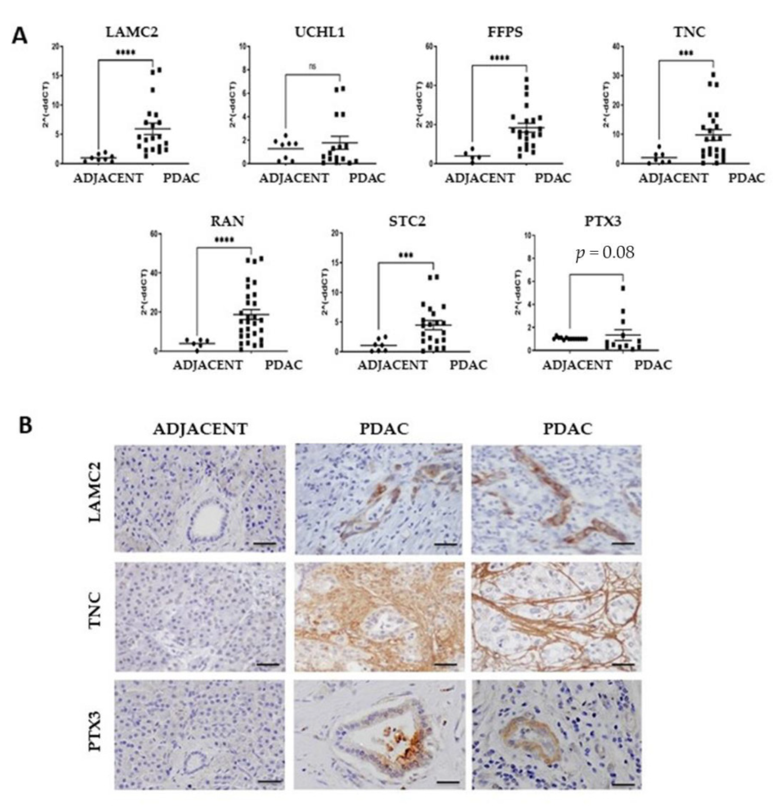 Cancers 14 02653 g002