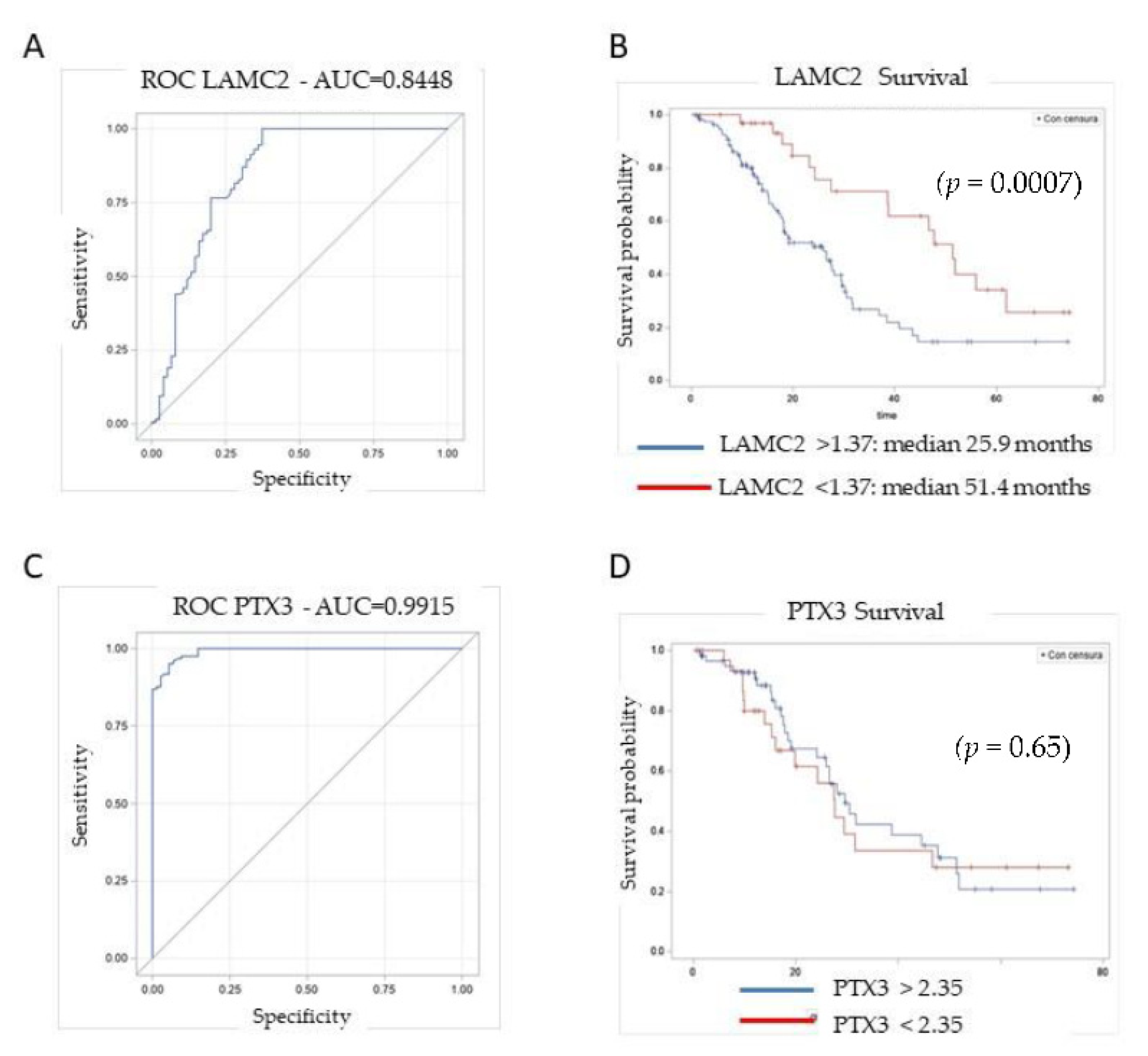 Cancers 14 02653 g004