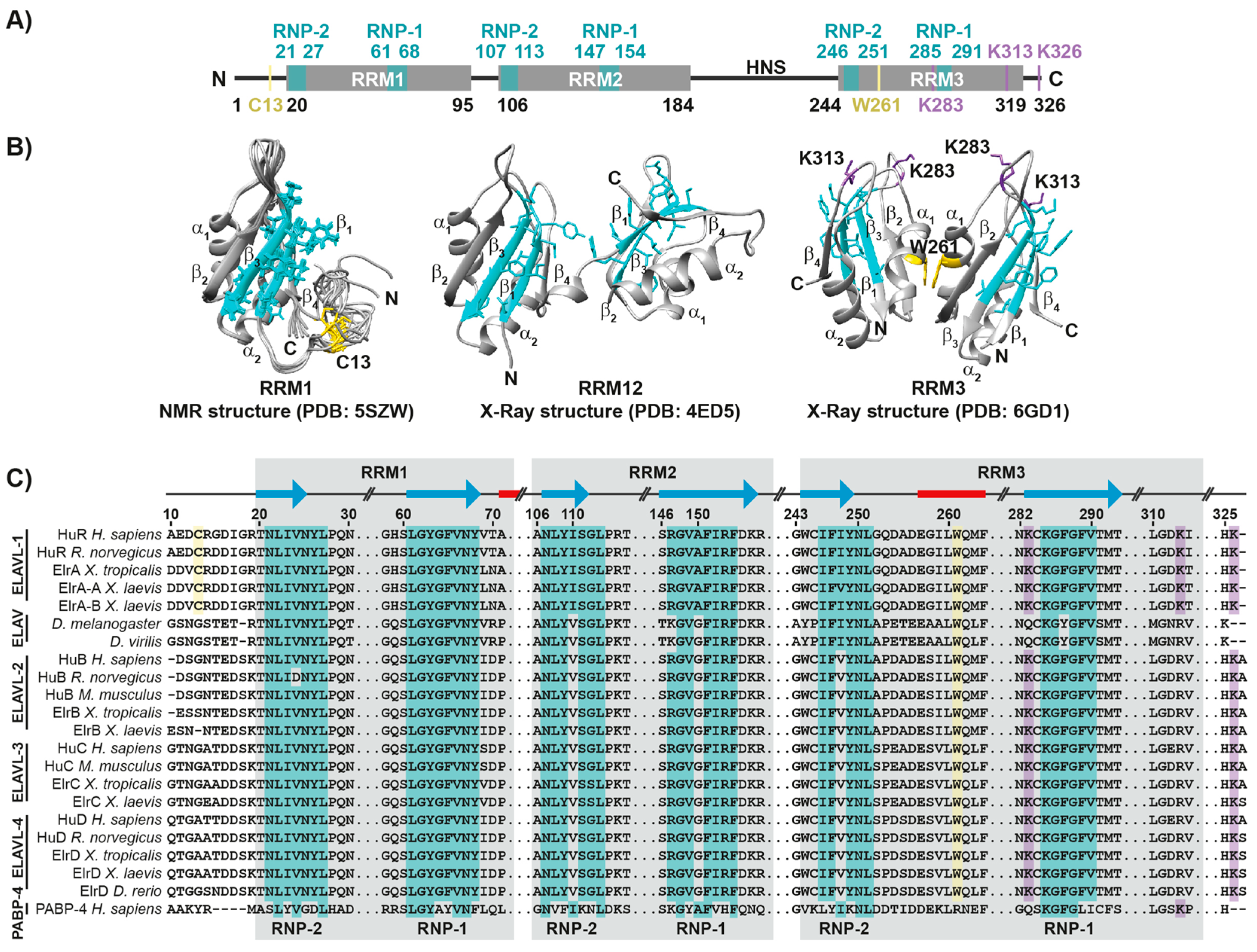 Cancers 14 02666 g001