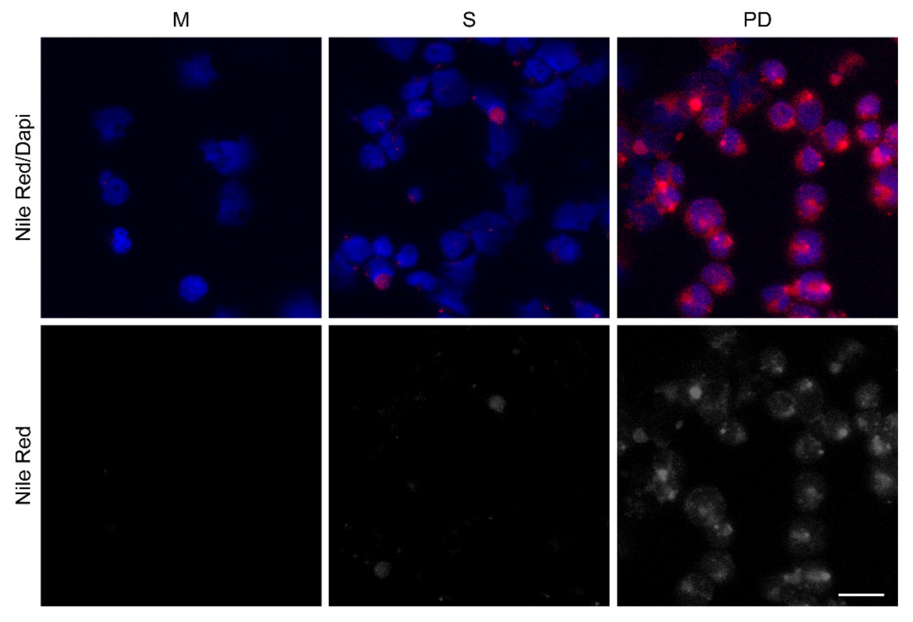 Cancers 14 02681 g003