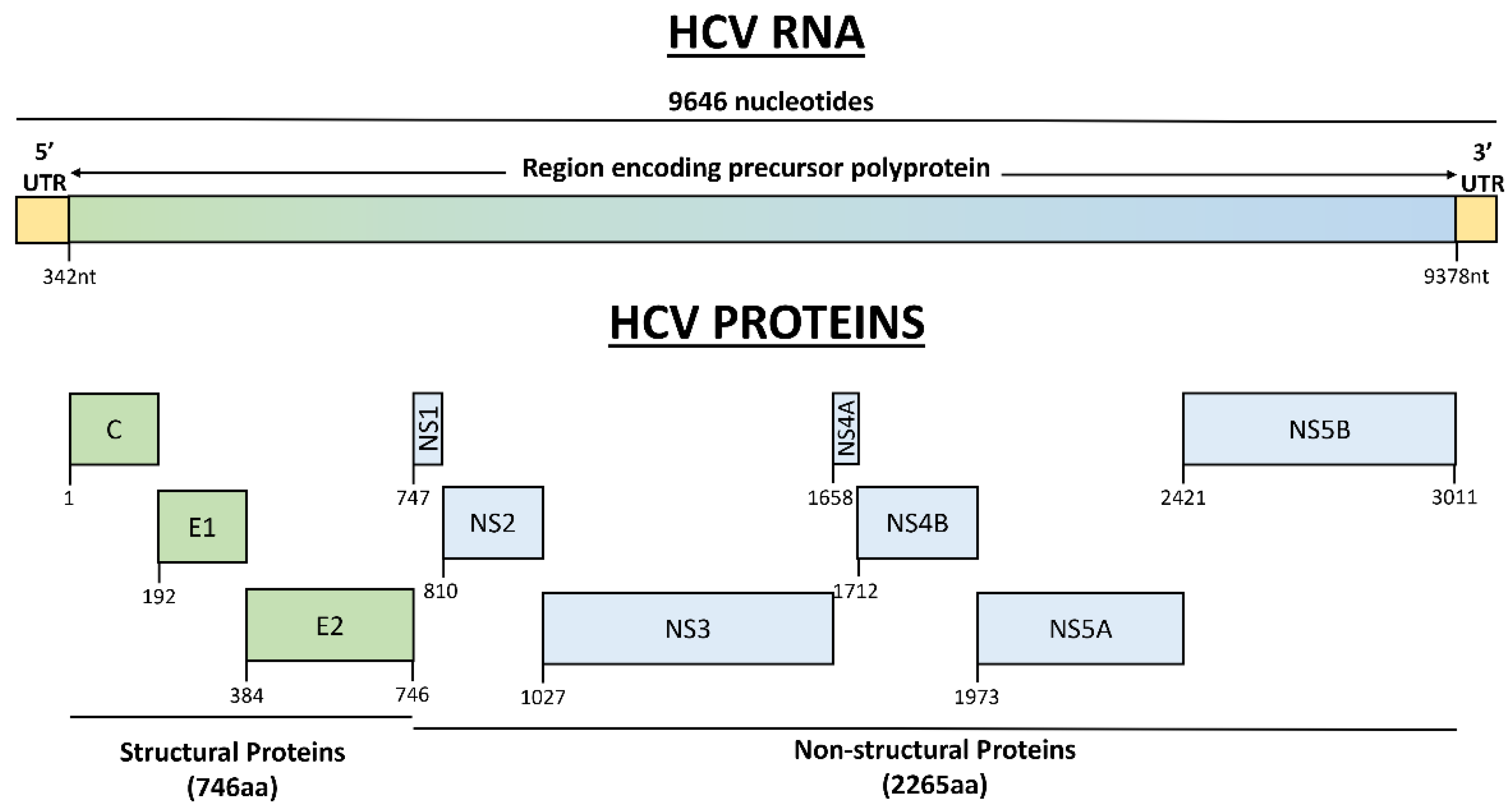 Cancers 14 02700 g001