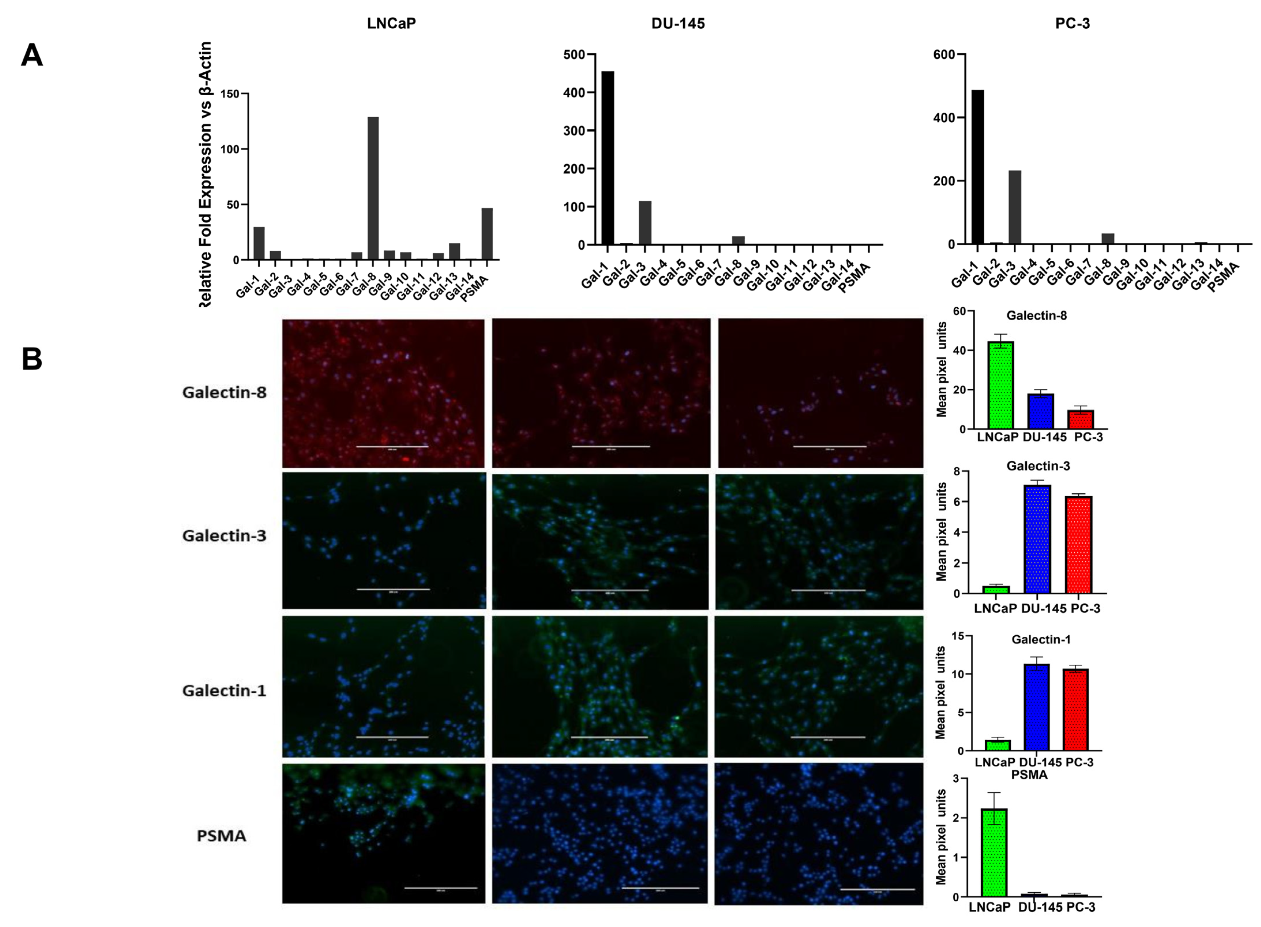 Cancers 14 02704 g001