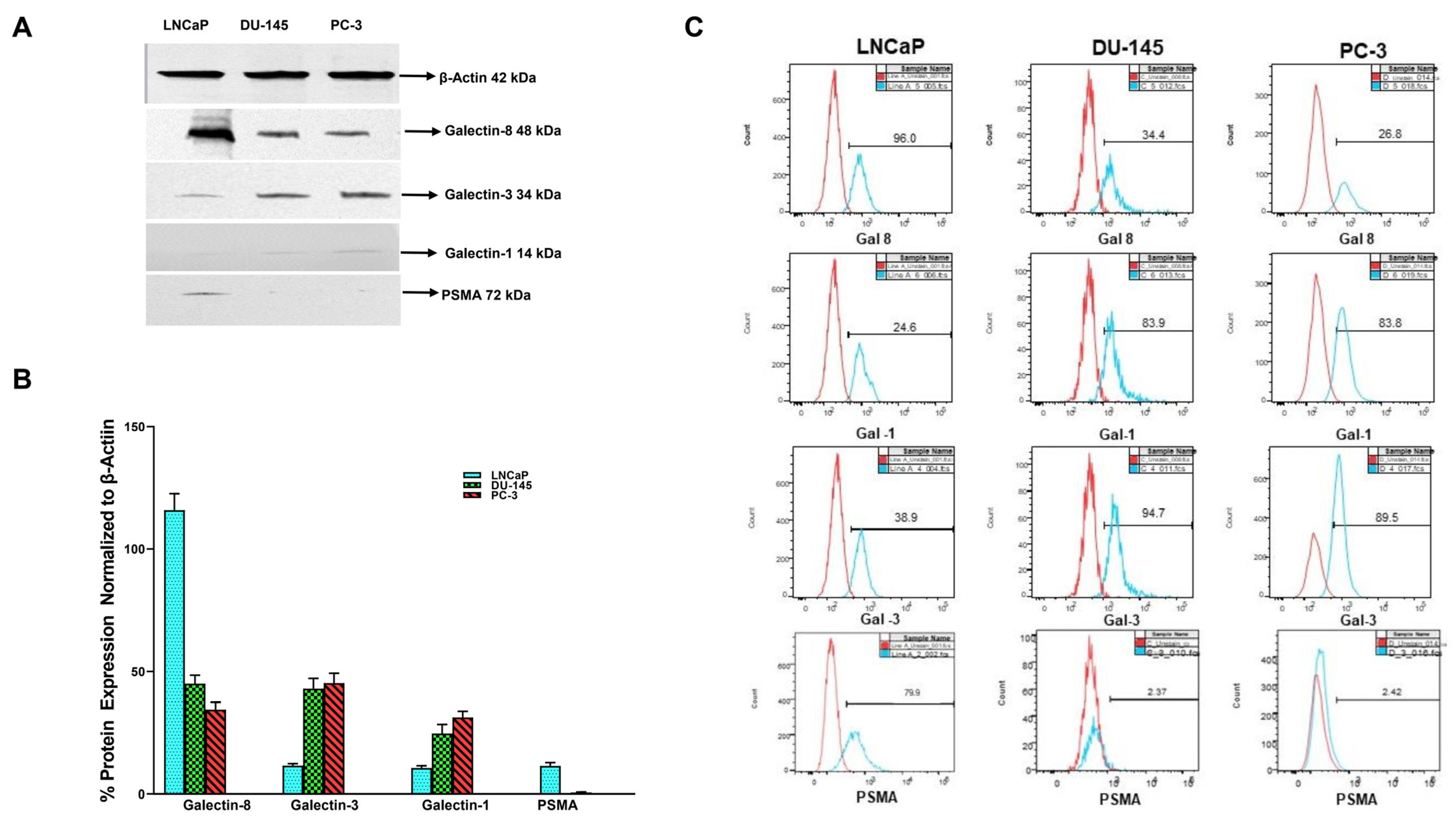 Cancers 14 02704 g002