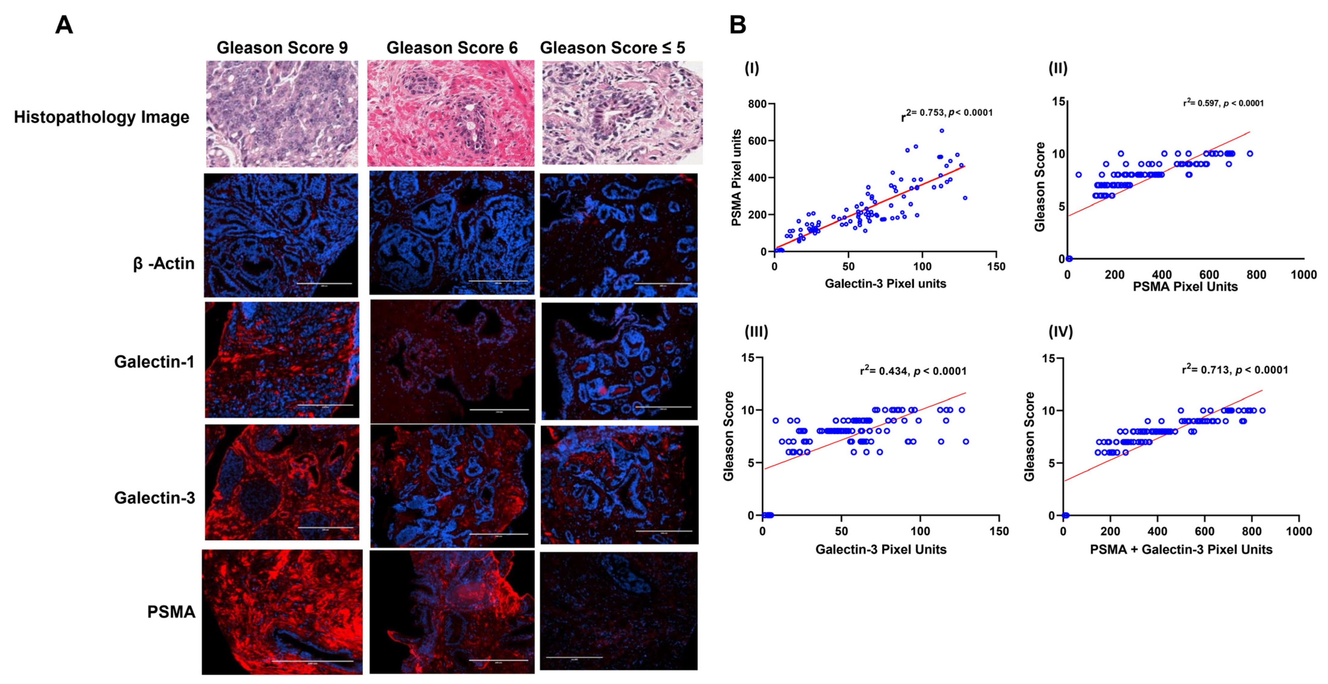 Cancers 14 02704 g003