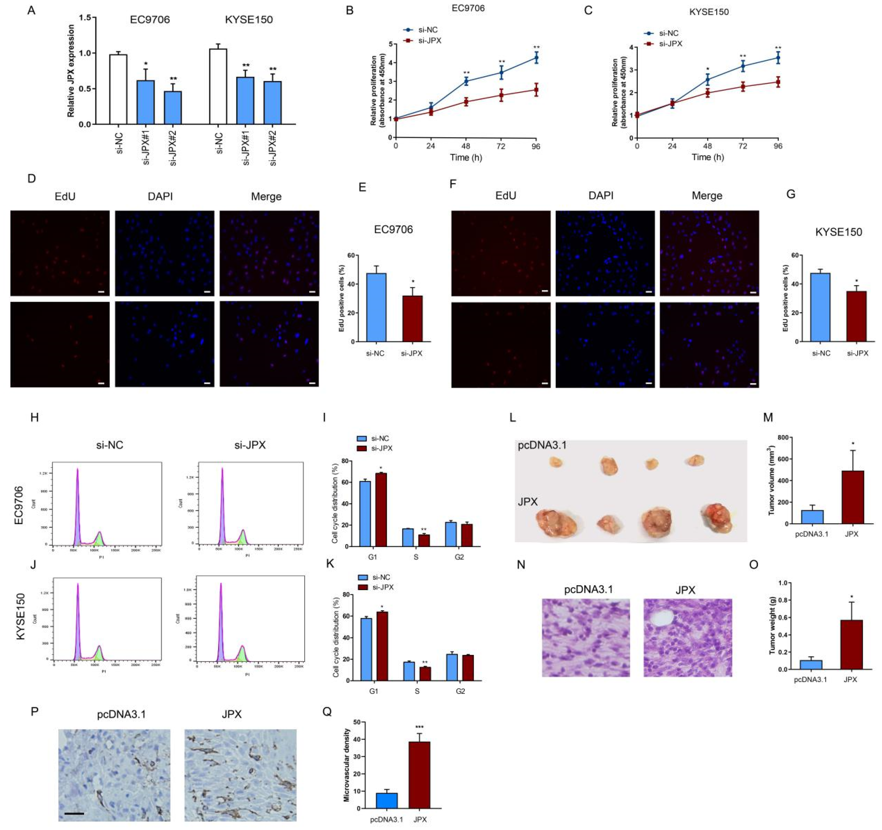 Cancers 14 02713 g002