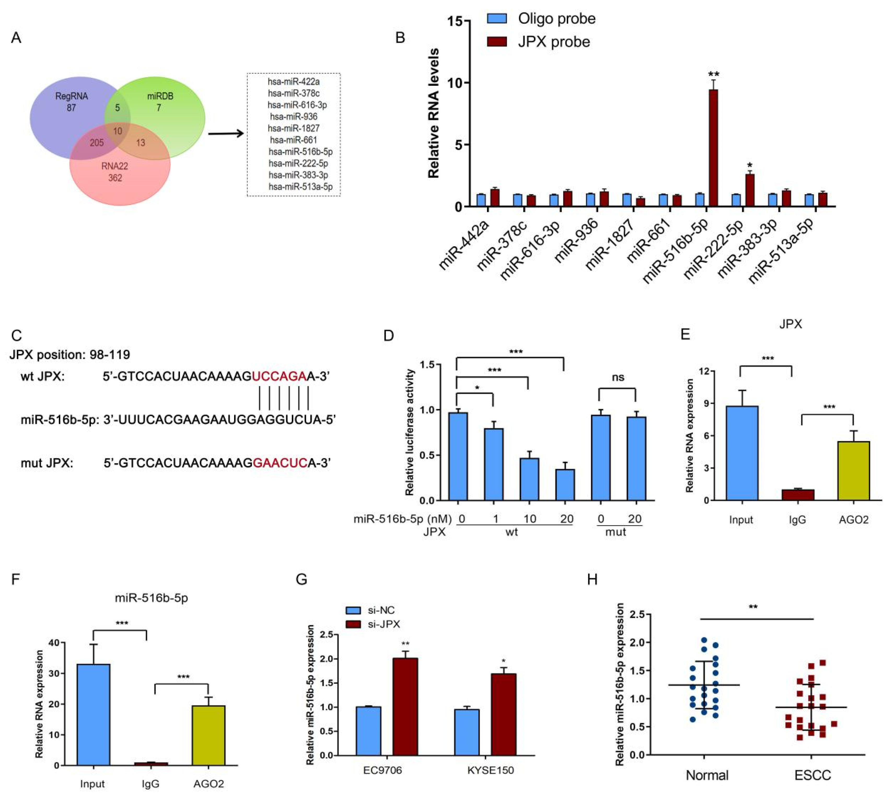 Cancers 14 02713 g004