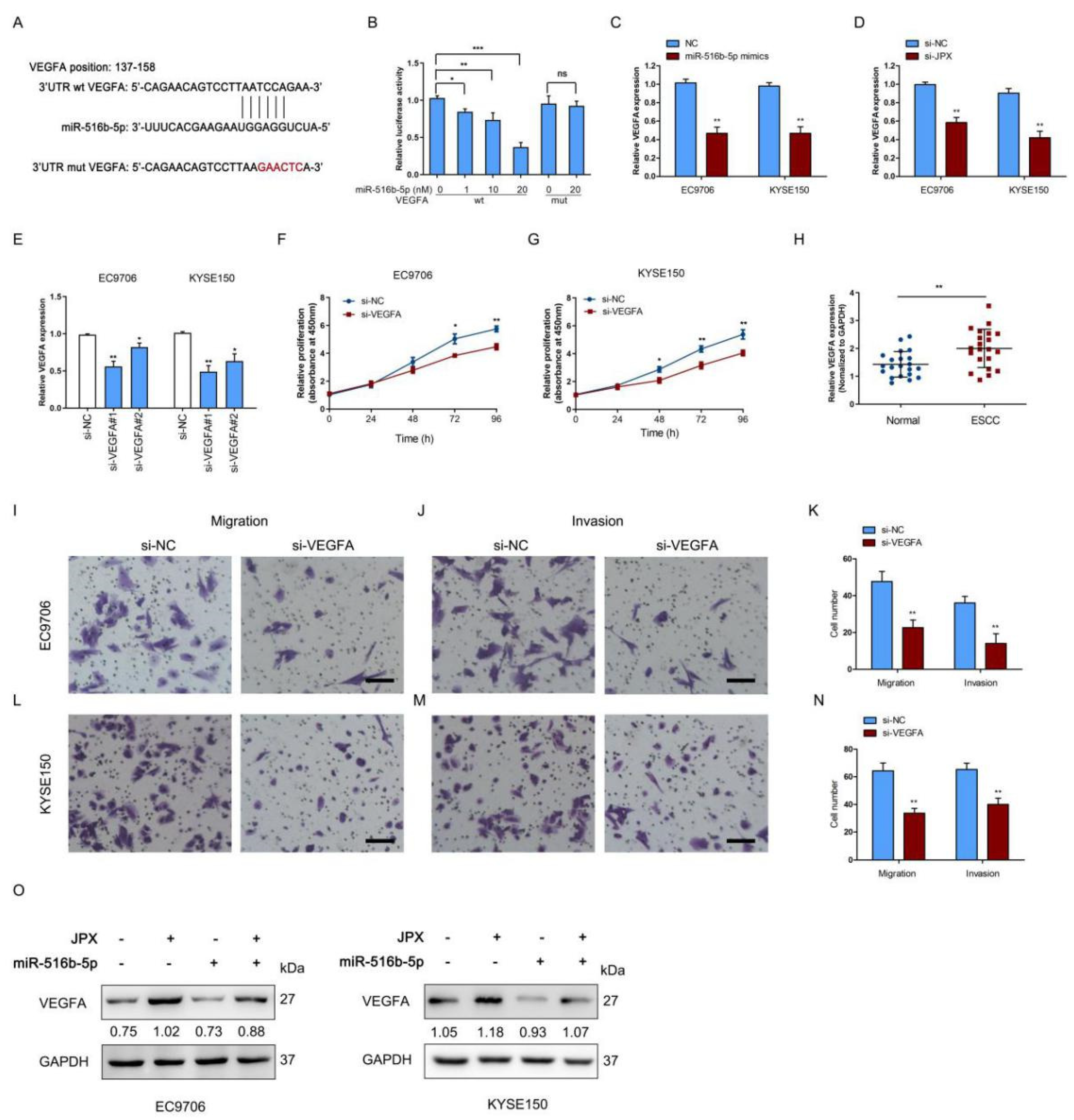 Cancers 14 02713 g006