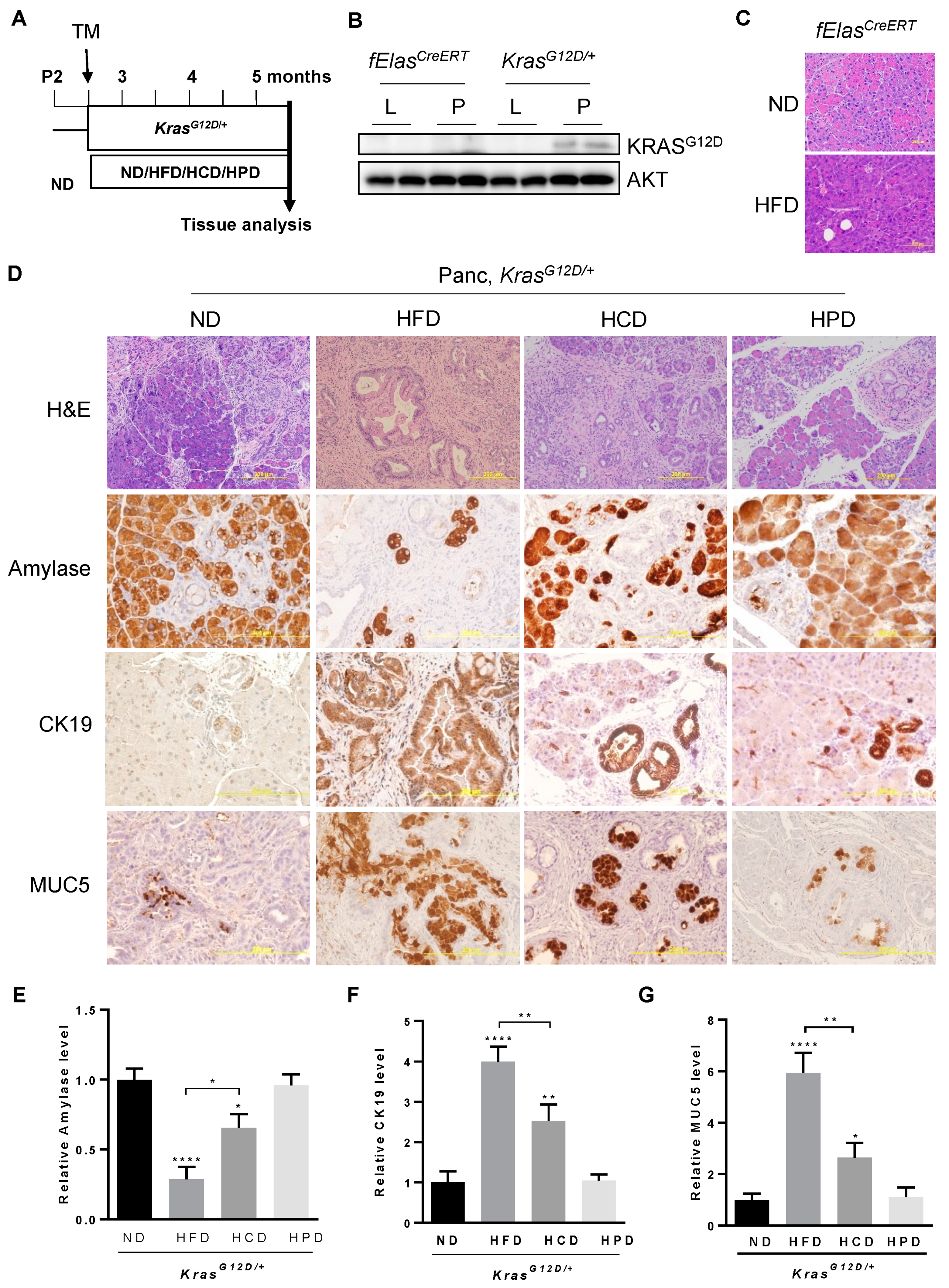 Cancers 14 02723 g001